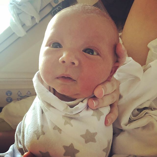 This little guy was bright eyed this morning taking in this bright new world ❤️ #sogababies