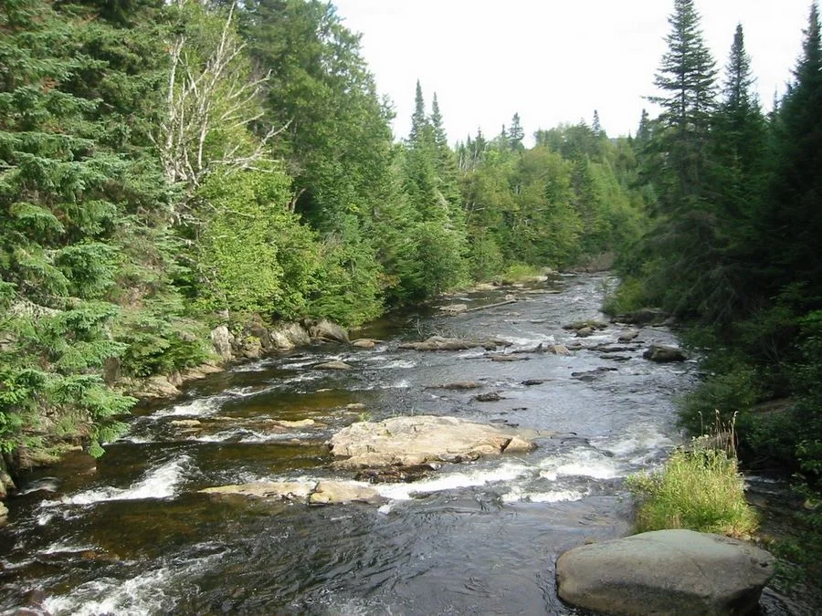 A Short Walk To Perry Stream