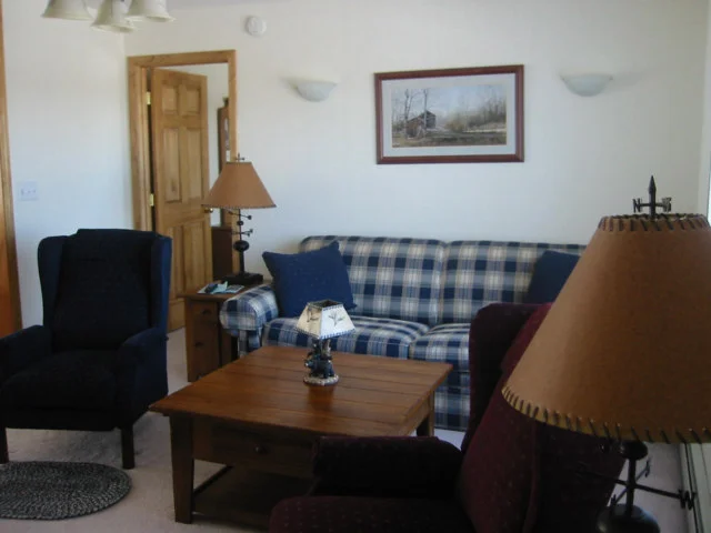 Alternate Living Area View