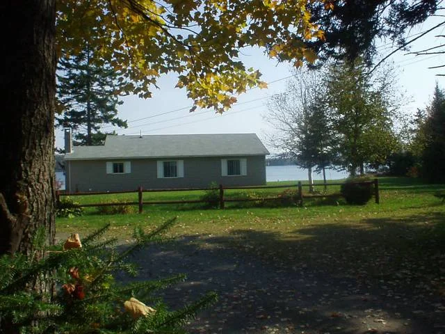 Nellie's Toward Back Lake
