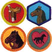badges_horsemanship.png