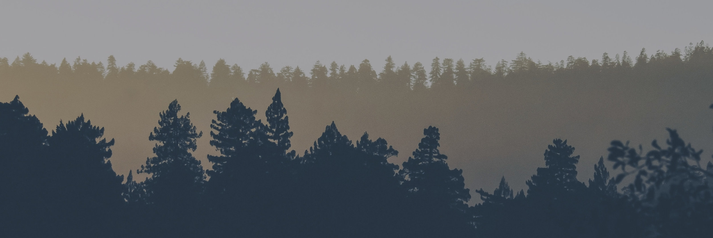 website banners8.jpg