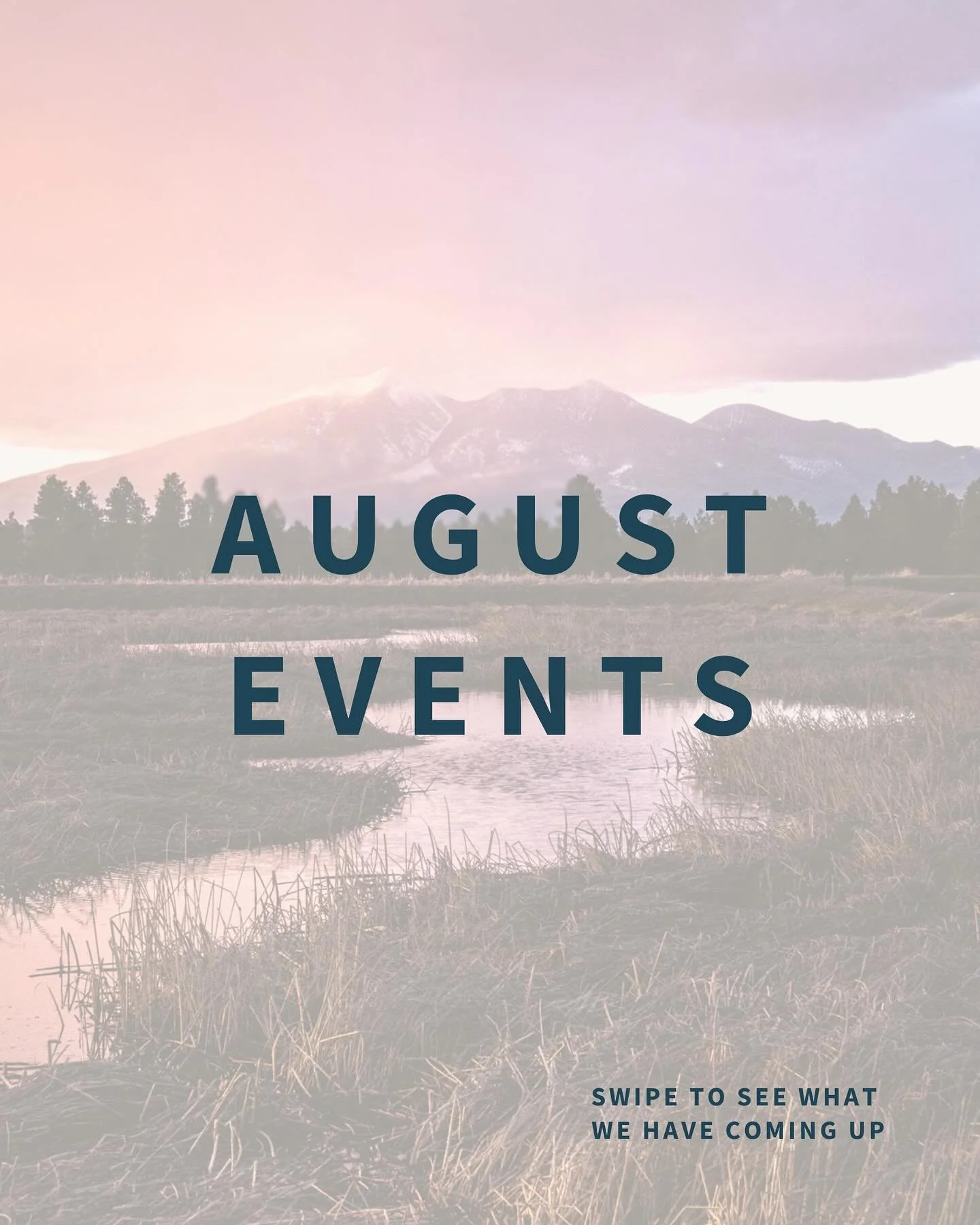 We have had such a wonderful start to August! 

Swipe to see what we have coming up the rest of the month! ✨
