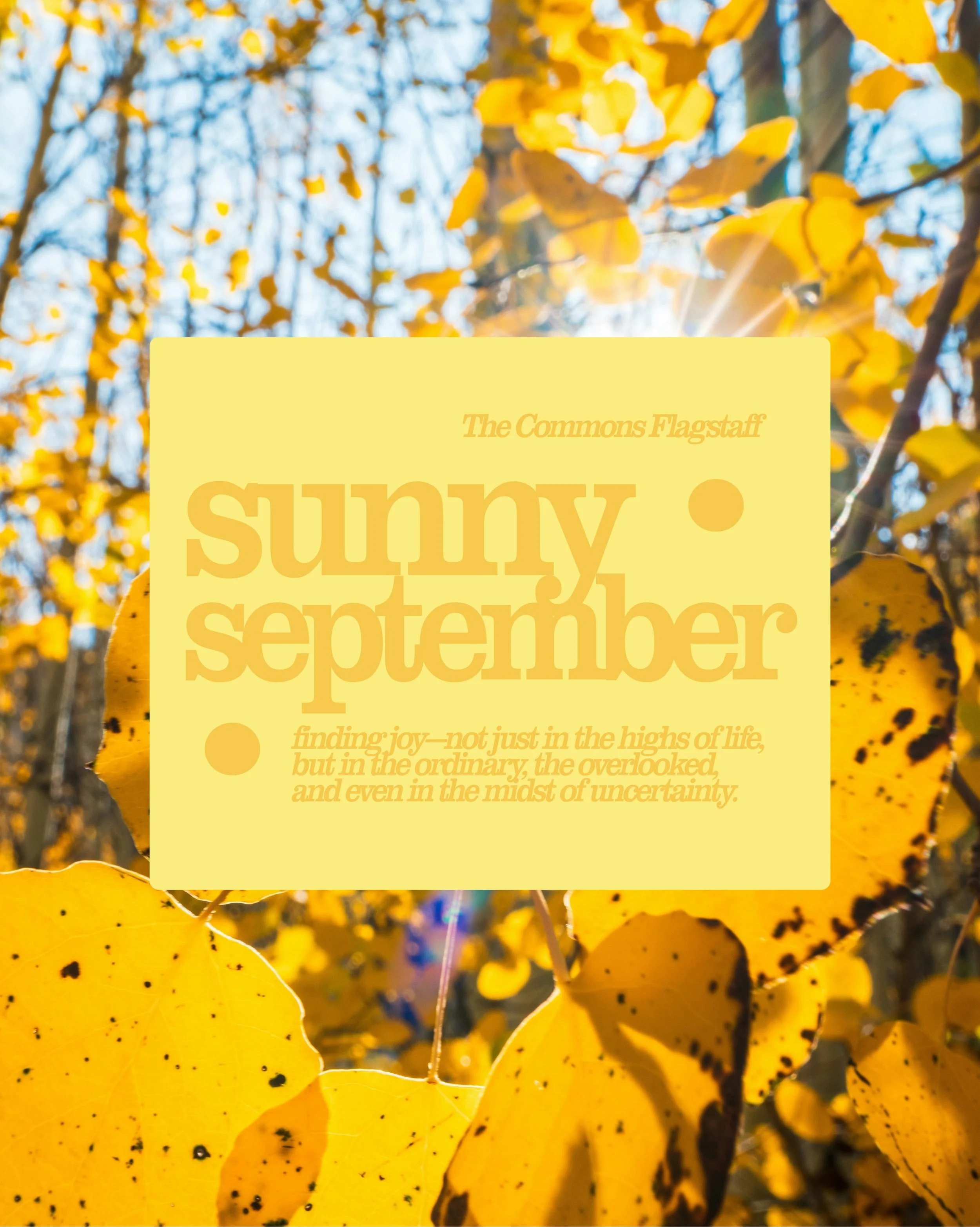 ☀️ Sunny September starts this Sunday!

Join us this Sunday, September 13, as we begin our Sunny September sermon series &mdash; a month dedicated to finding joy.

Not just the big, obvious moments of happiness, but the joy tucked into ordinary days,