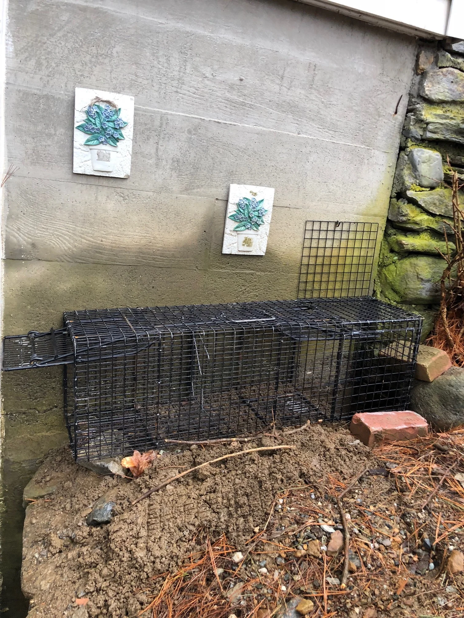 Hole next to foundation