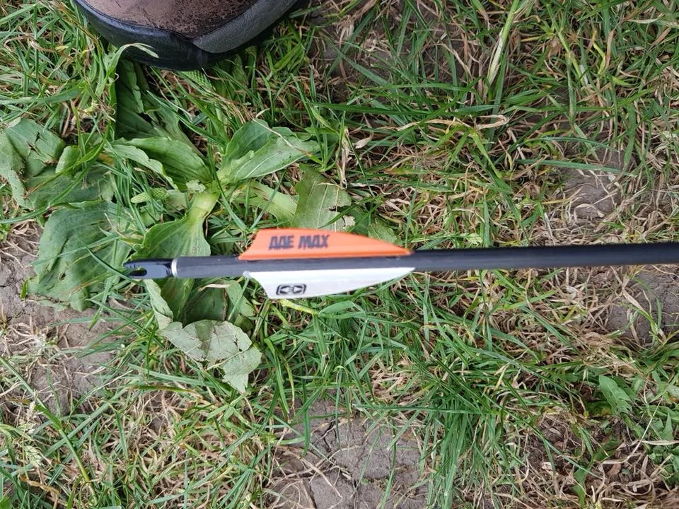 lost arrow 2.jpg