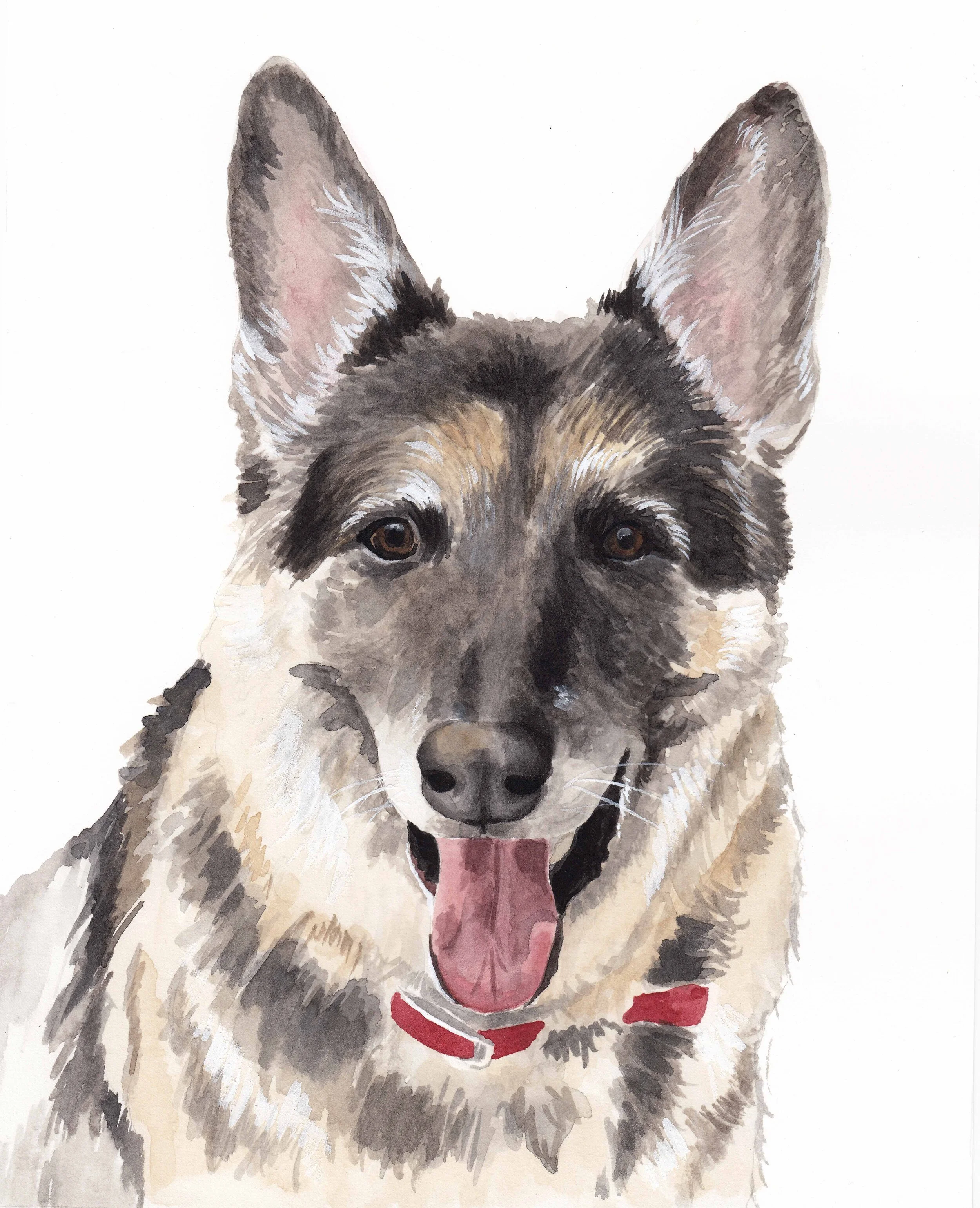 custom watercolor pet portrait.jpg