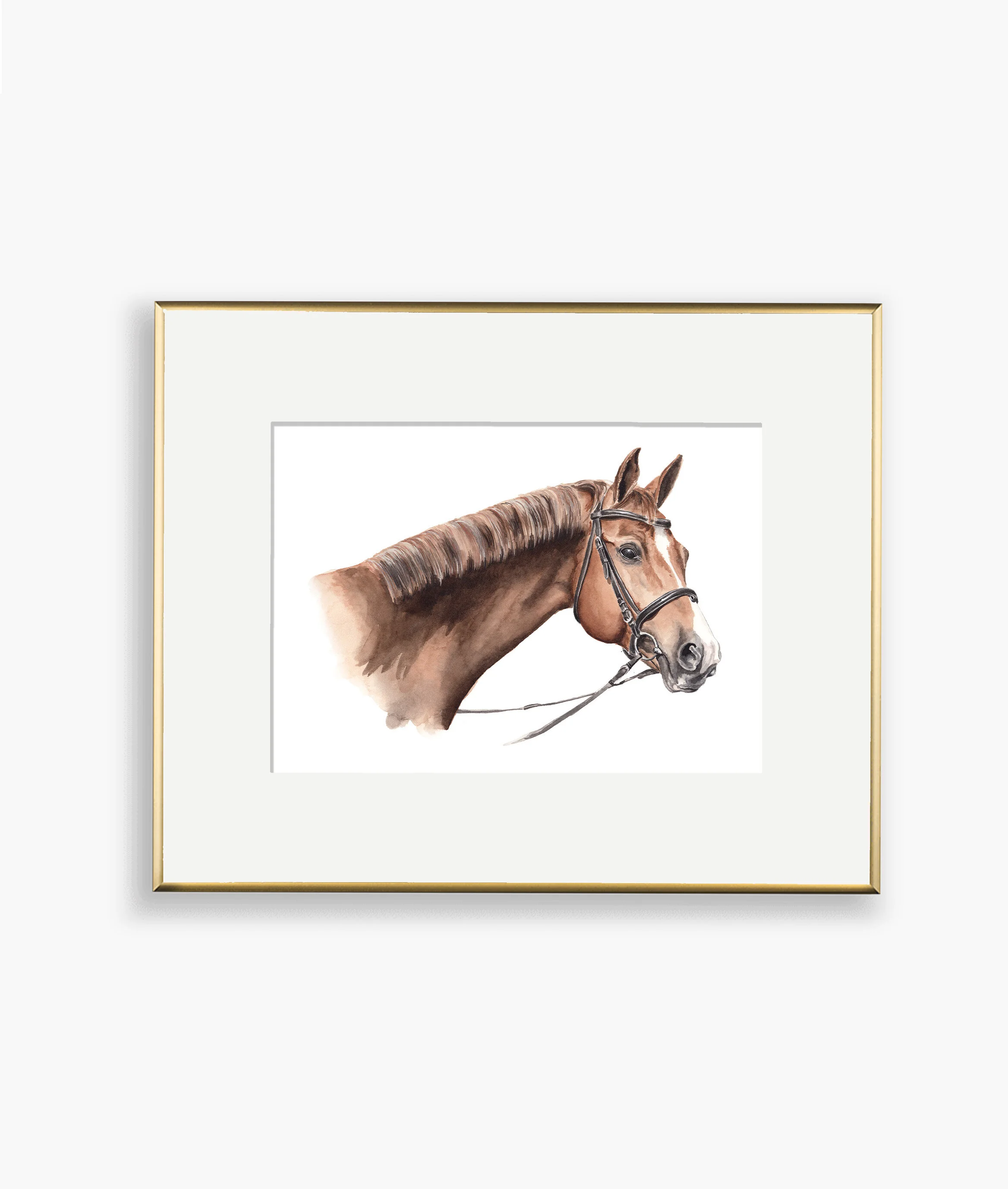 HORSE PORTRAIT.jpg