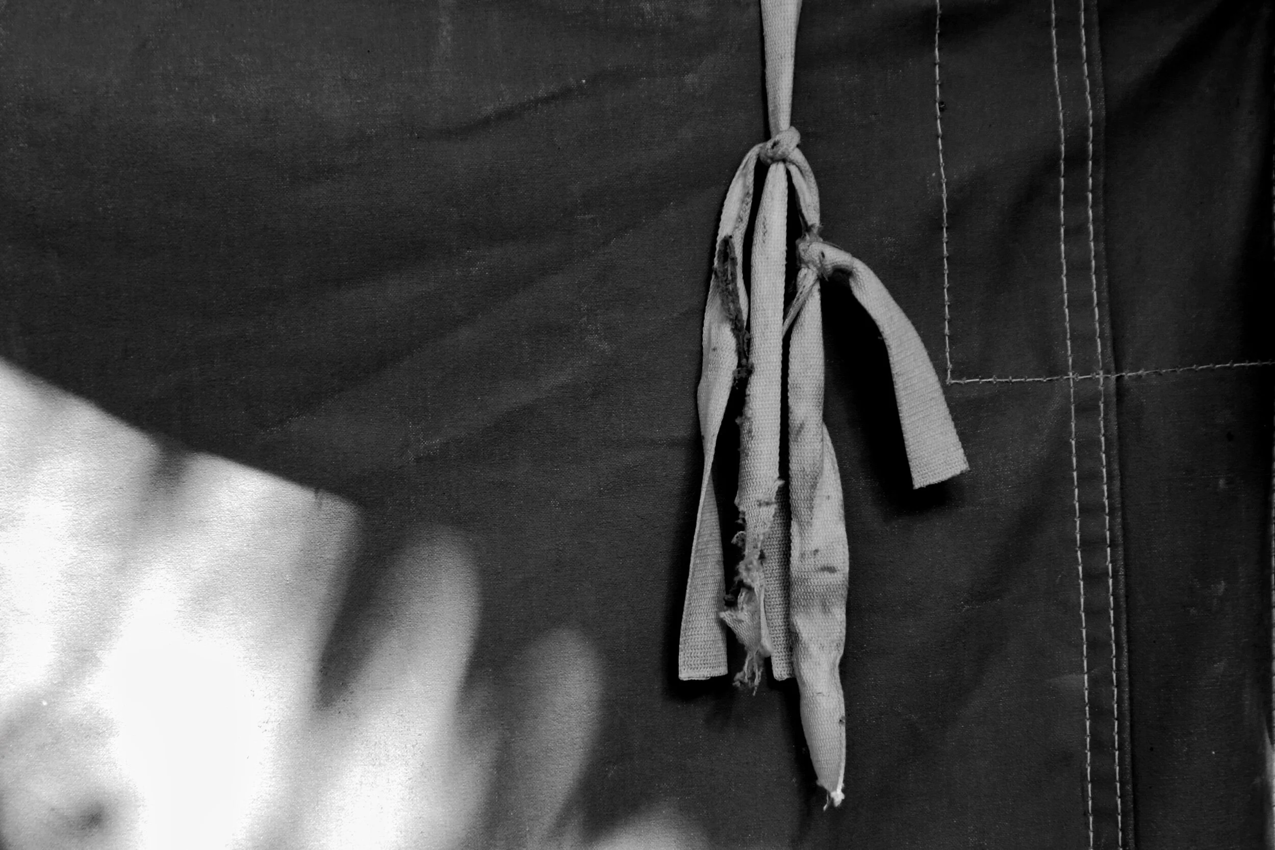 tent detail, elephant enclosure