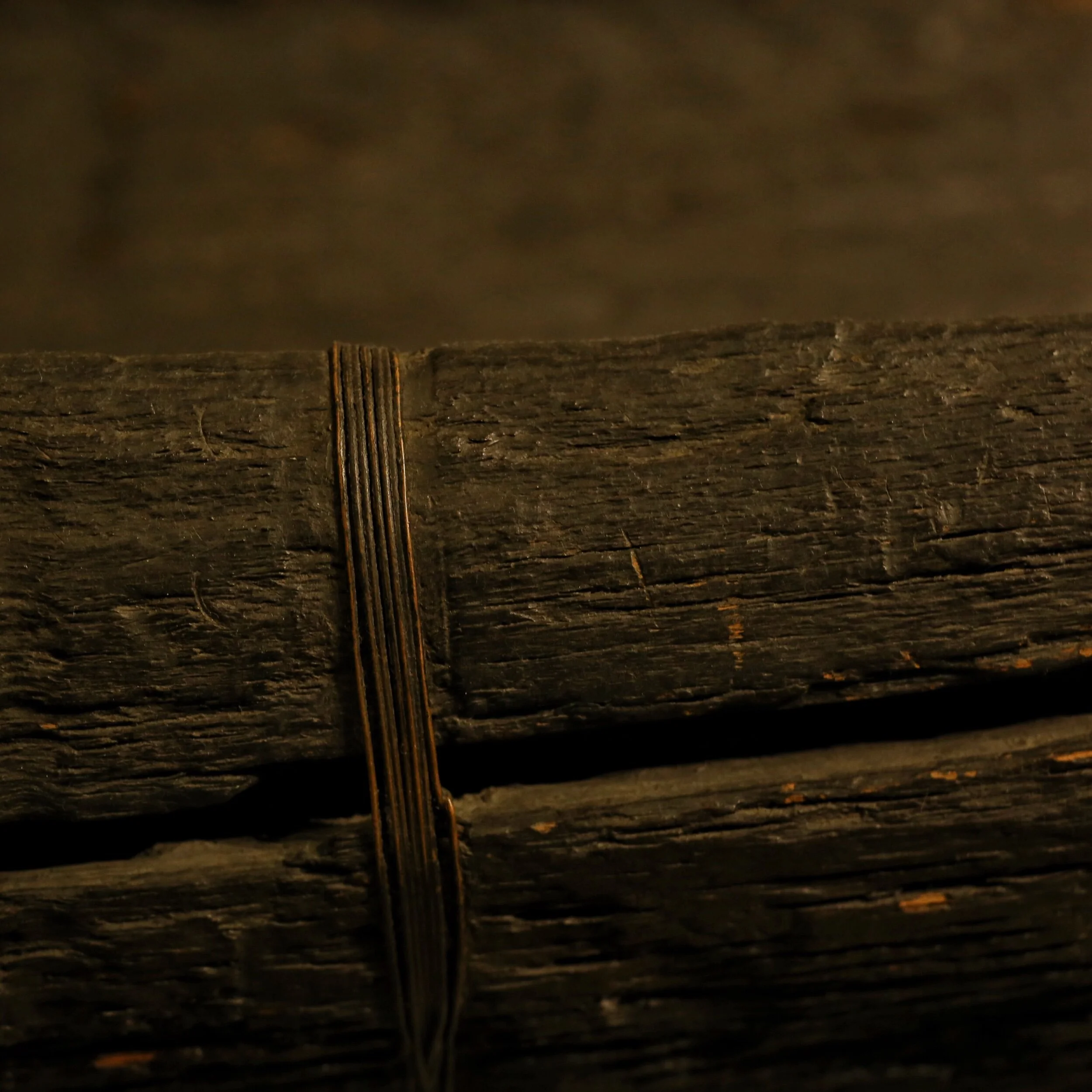 canoe detail, National Museum of Ireland