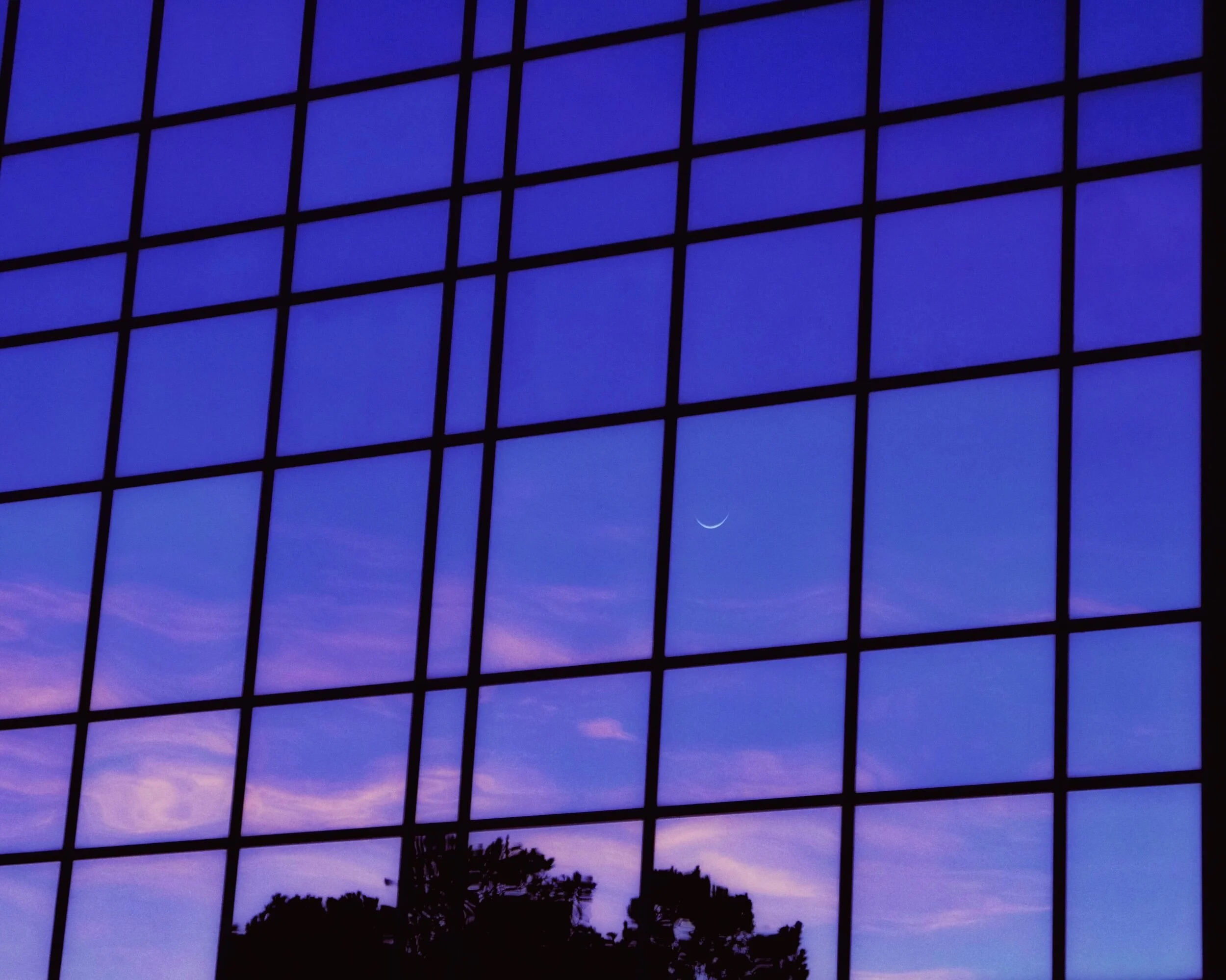 sunrise windows, Raleigh