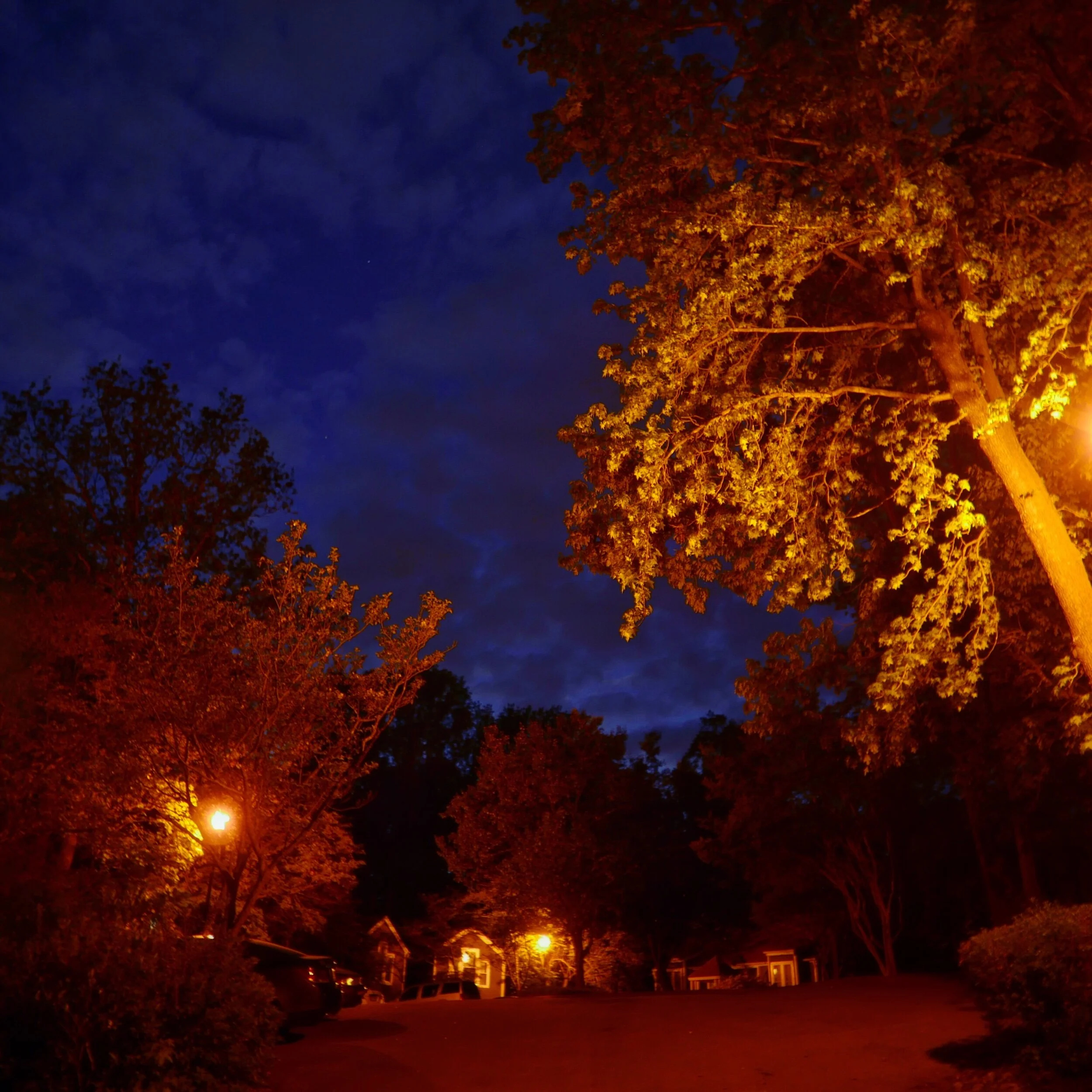 evening lights, Raleigh