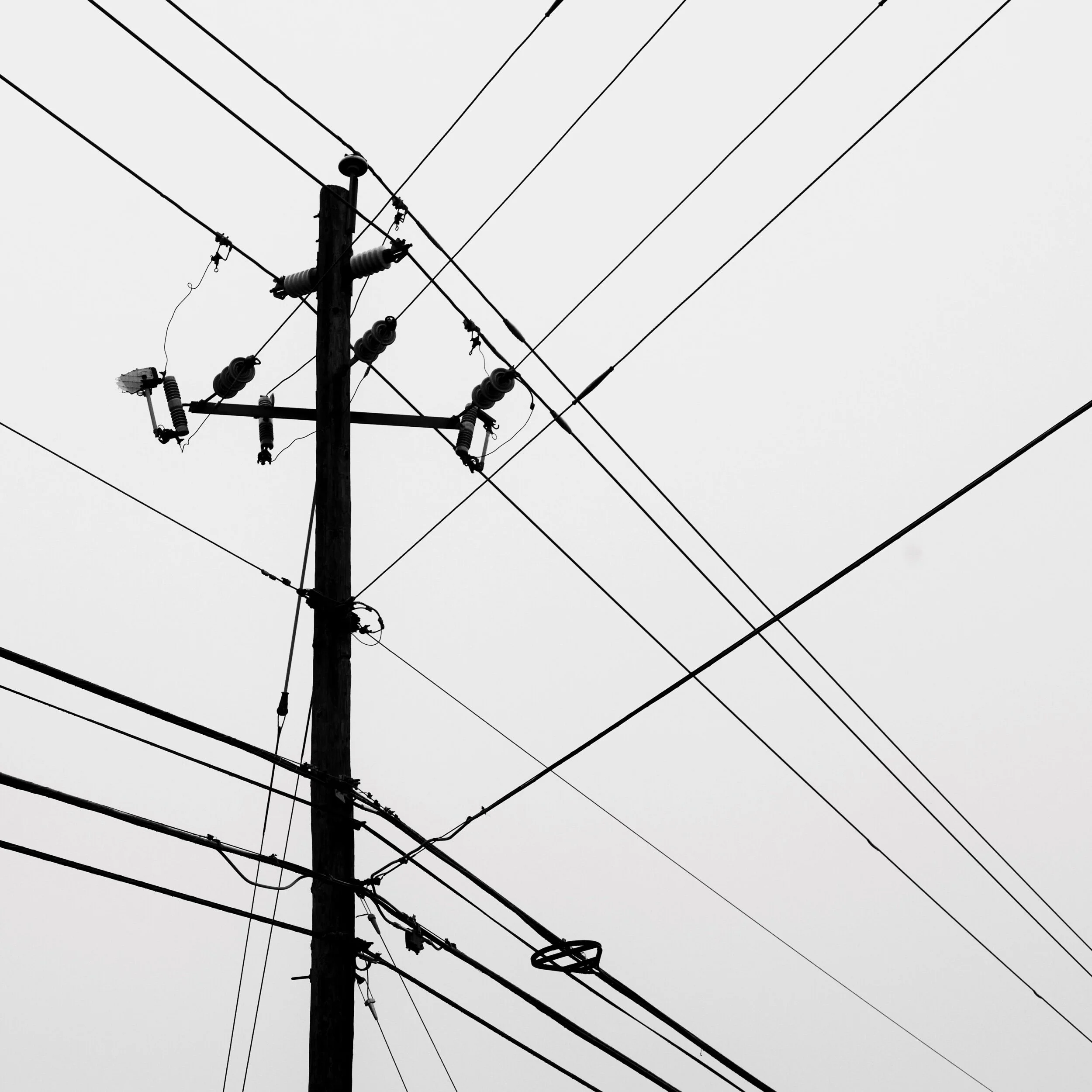 wires, Raleigh