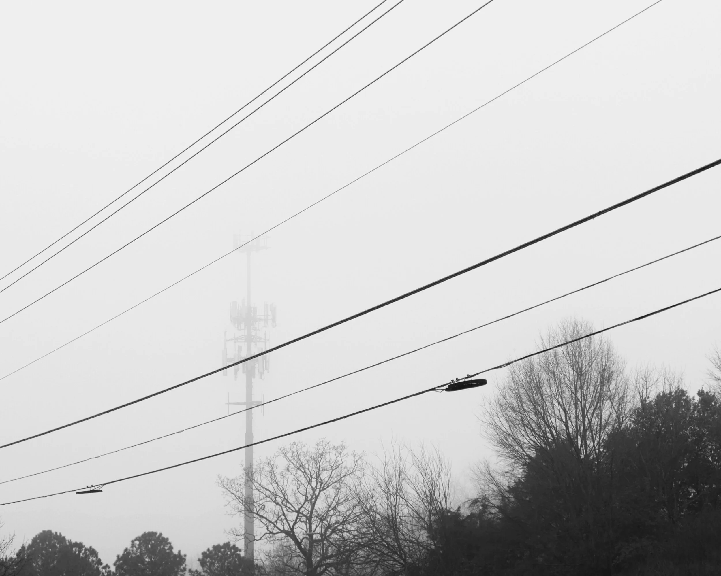 foggy morning, Raleigh