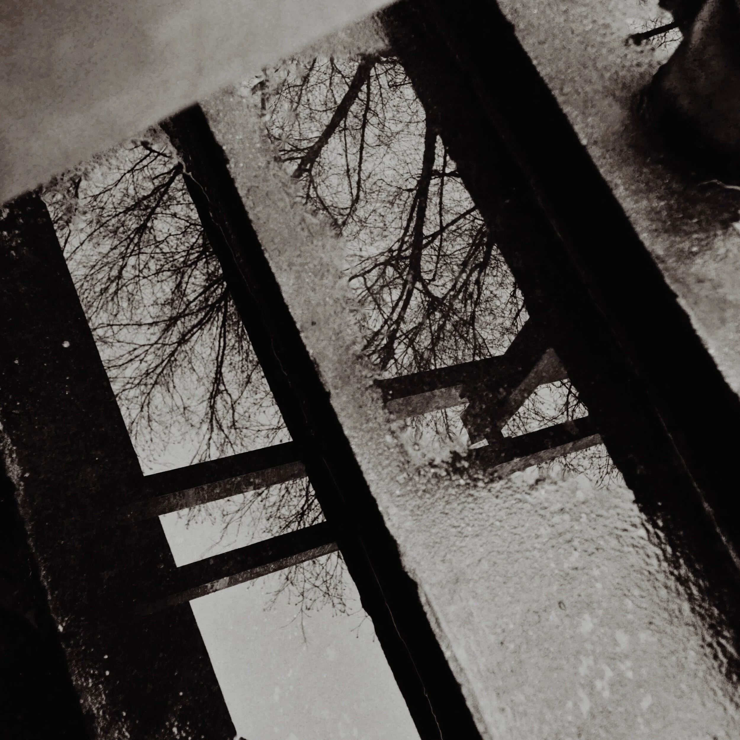 wet steps, Raleigh