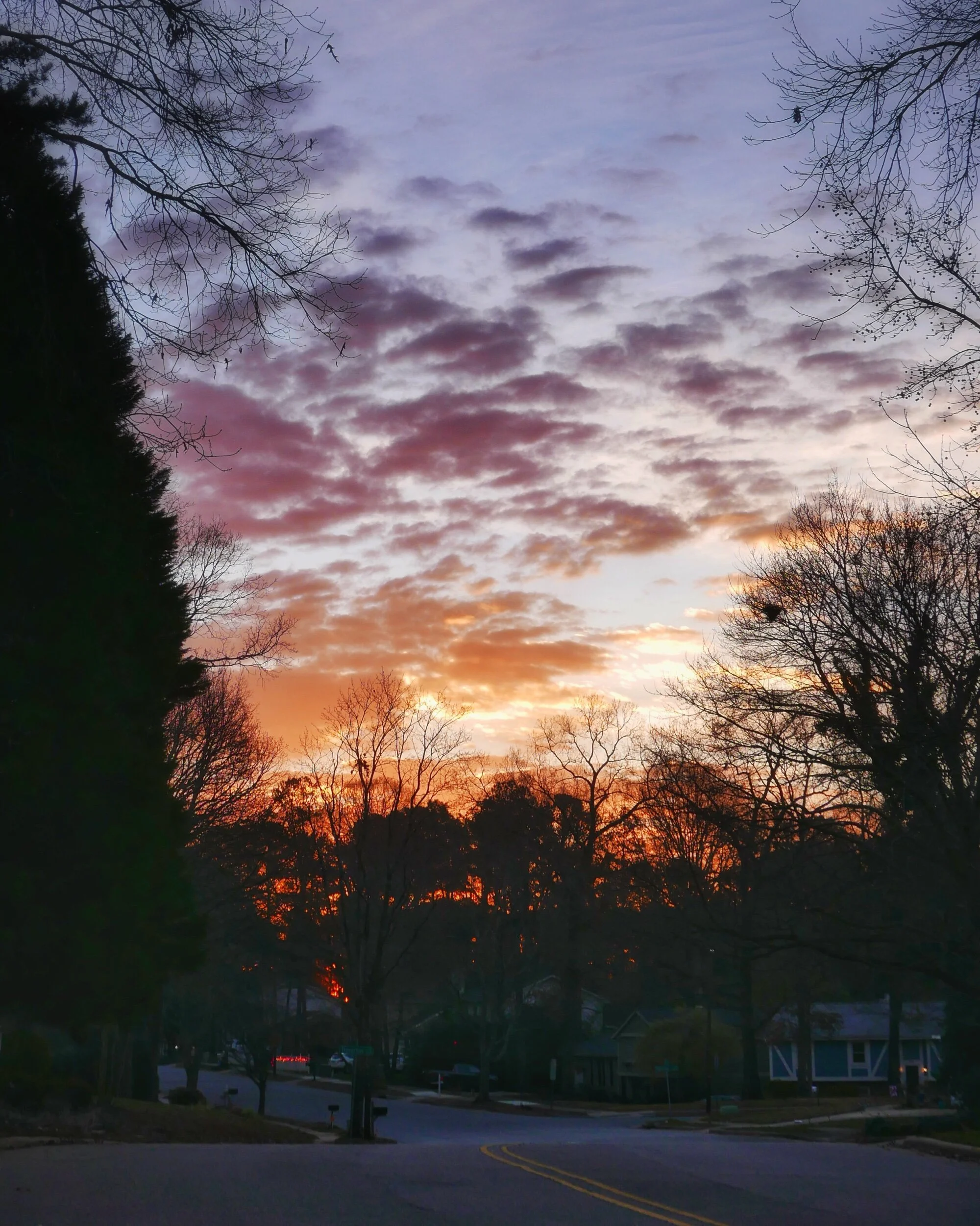 sunrise, Raleigh