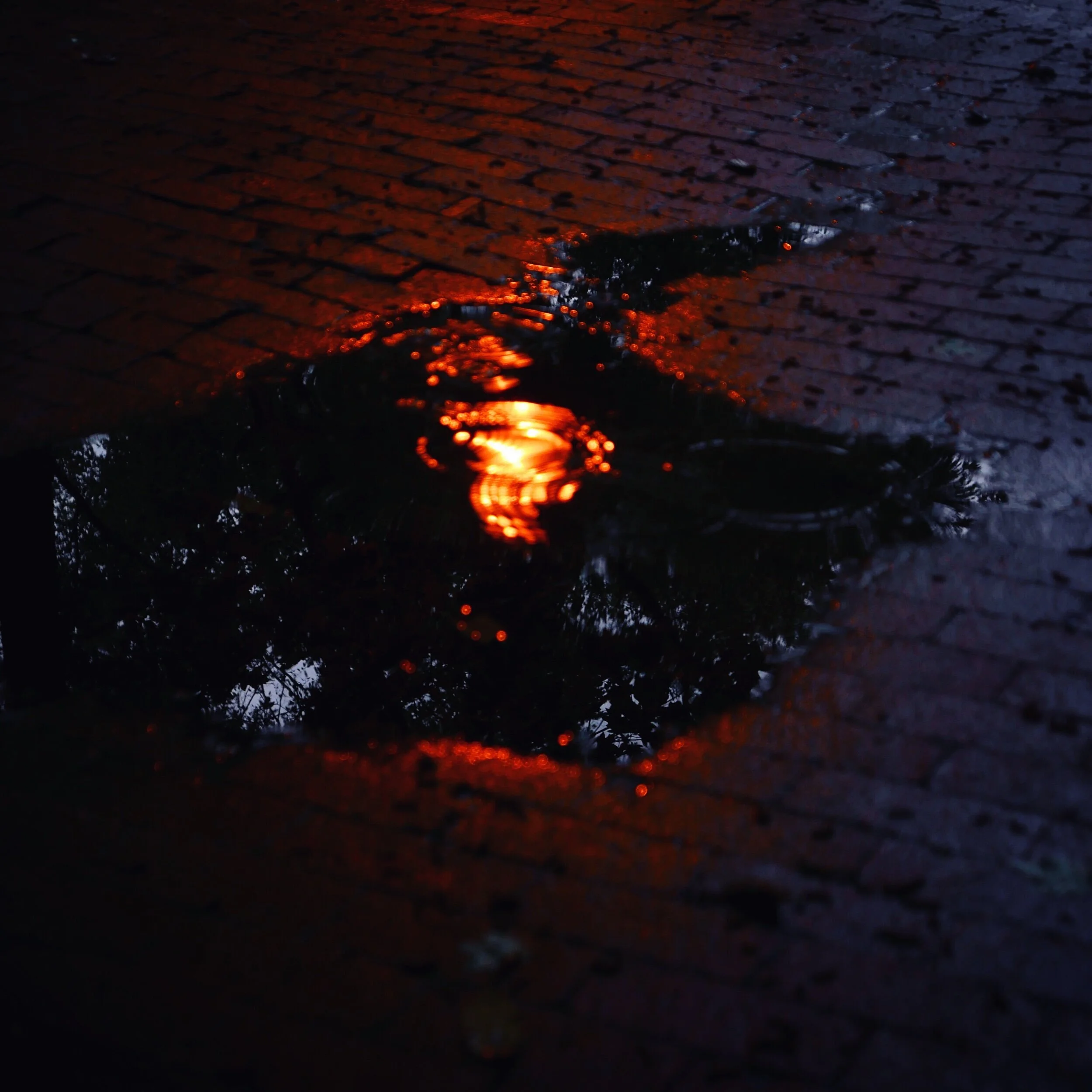 puddle and streetlight, Raleigh