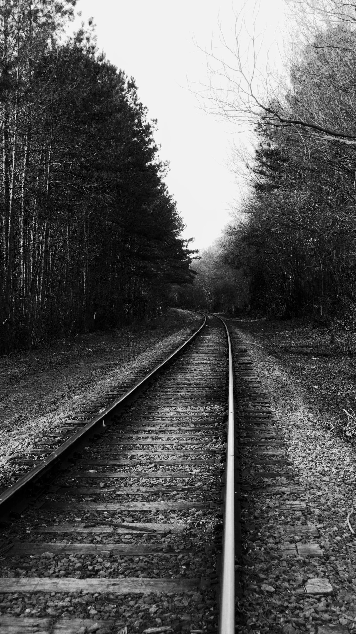 tracks, Raleigh