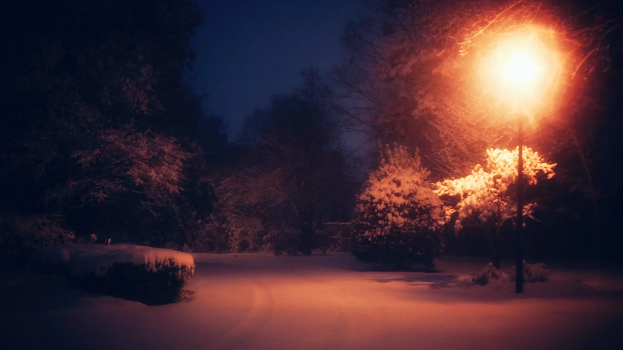 snowy morning, Raleigh