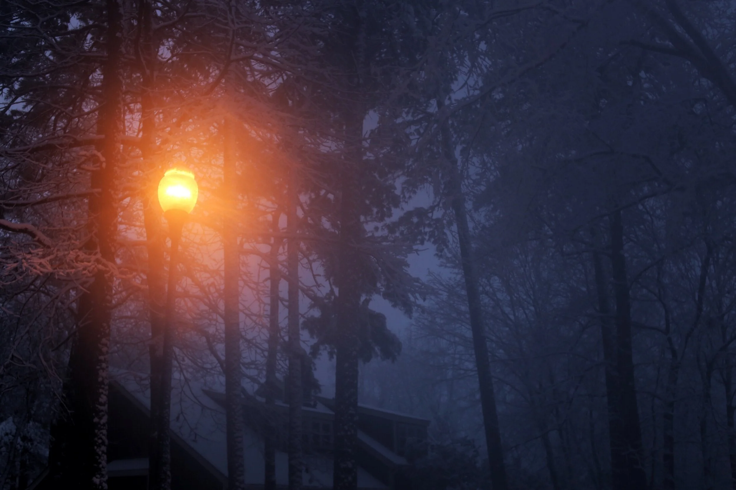 snowy morning, Raleigh