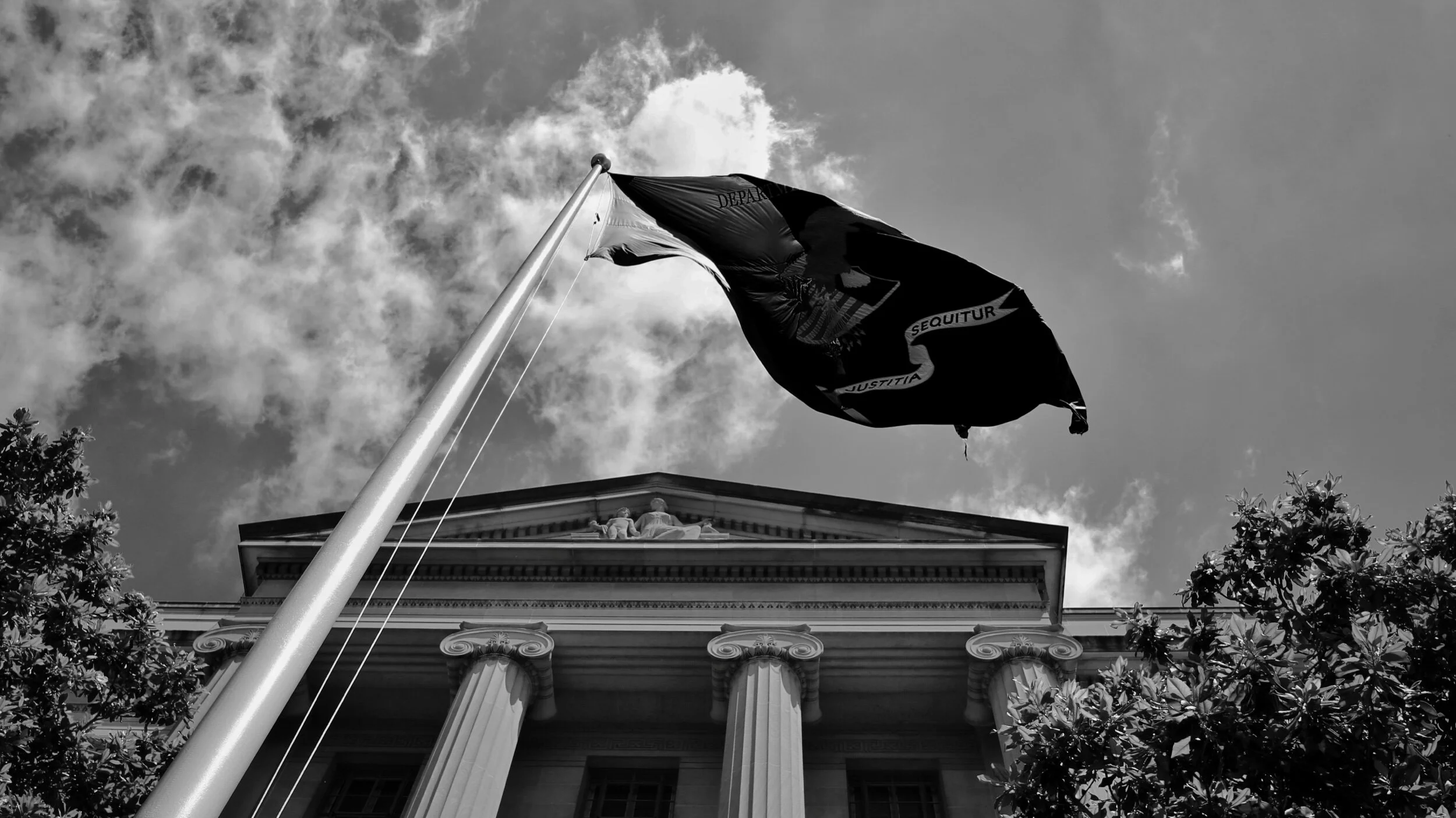 IMG_3007.jpeg