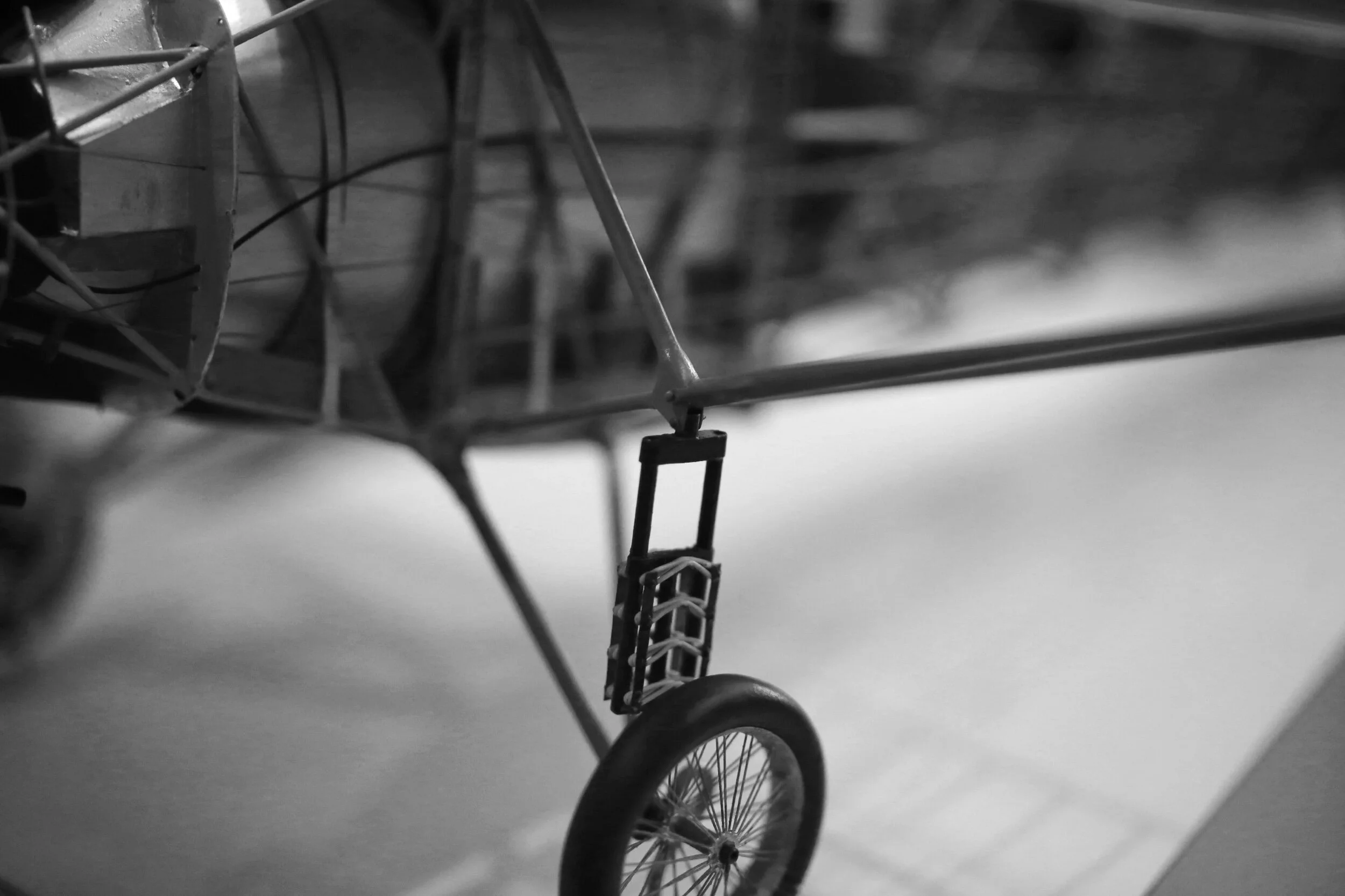 IMG_3021.jpeg
