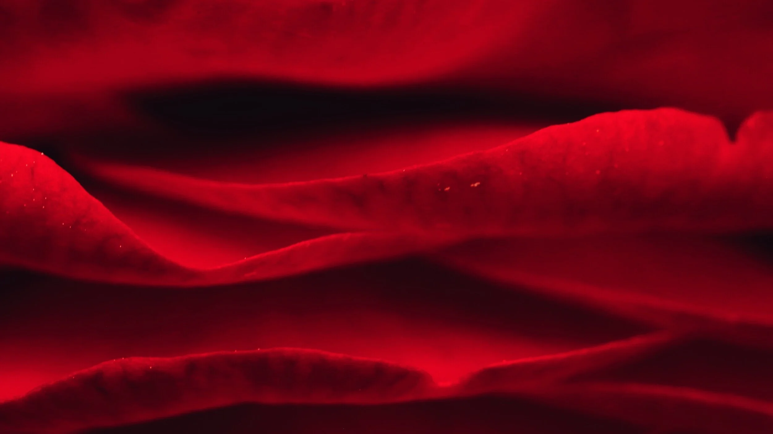 petals