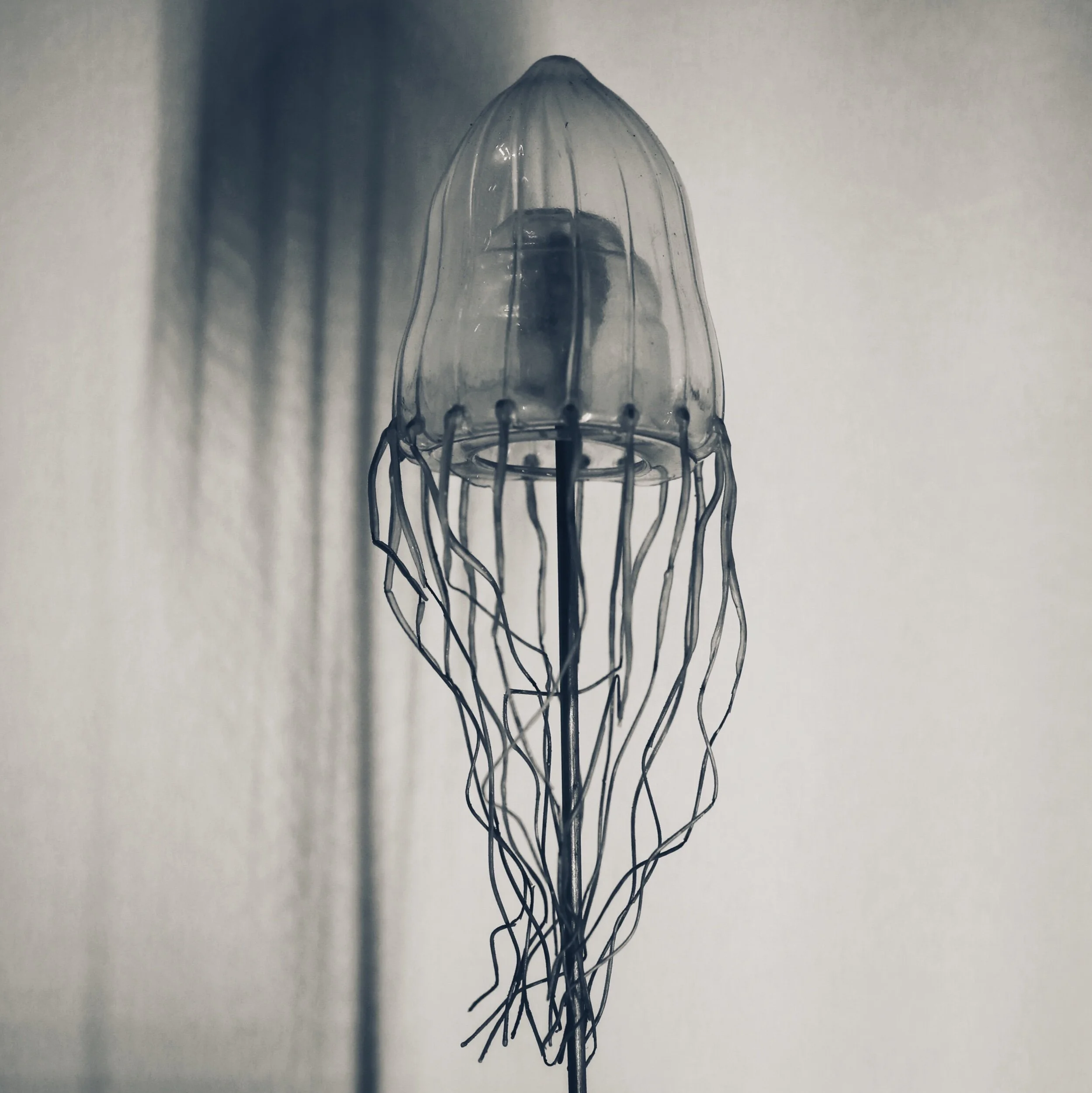IMG_4506.jpeg