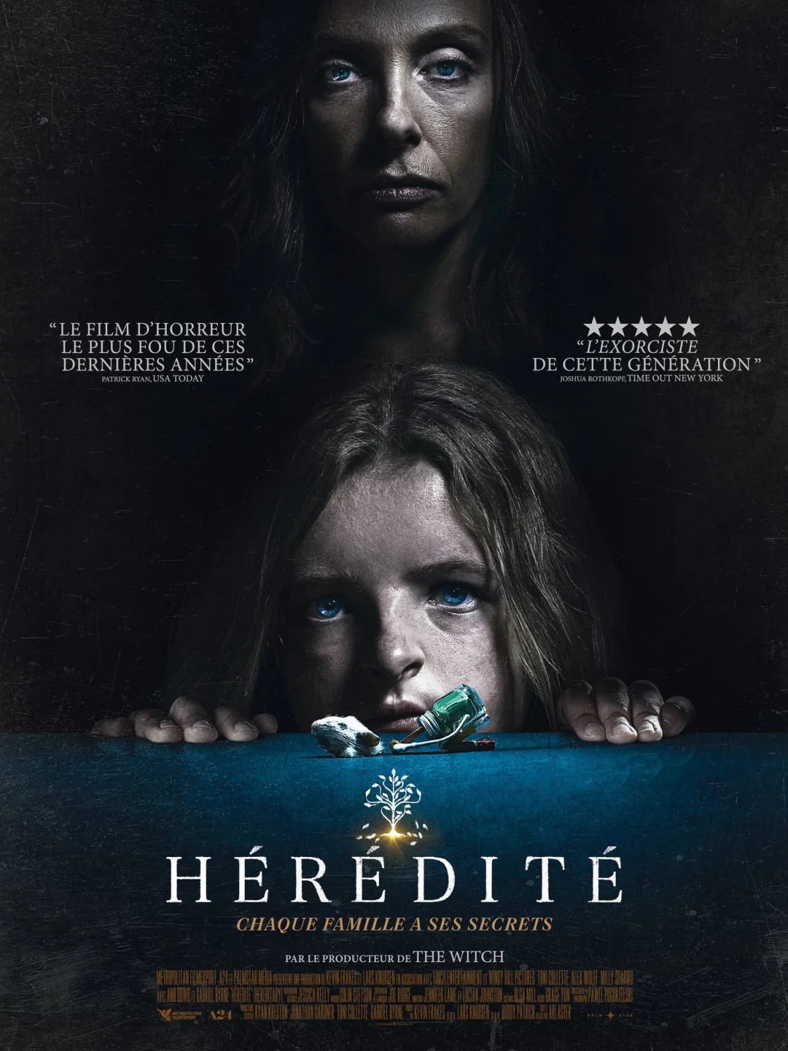 hereditary_ver3_xlg.jpg