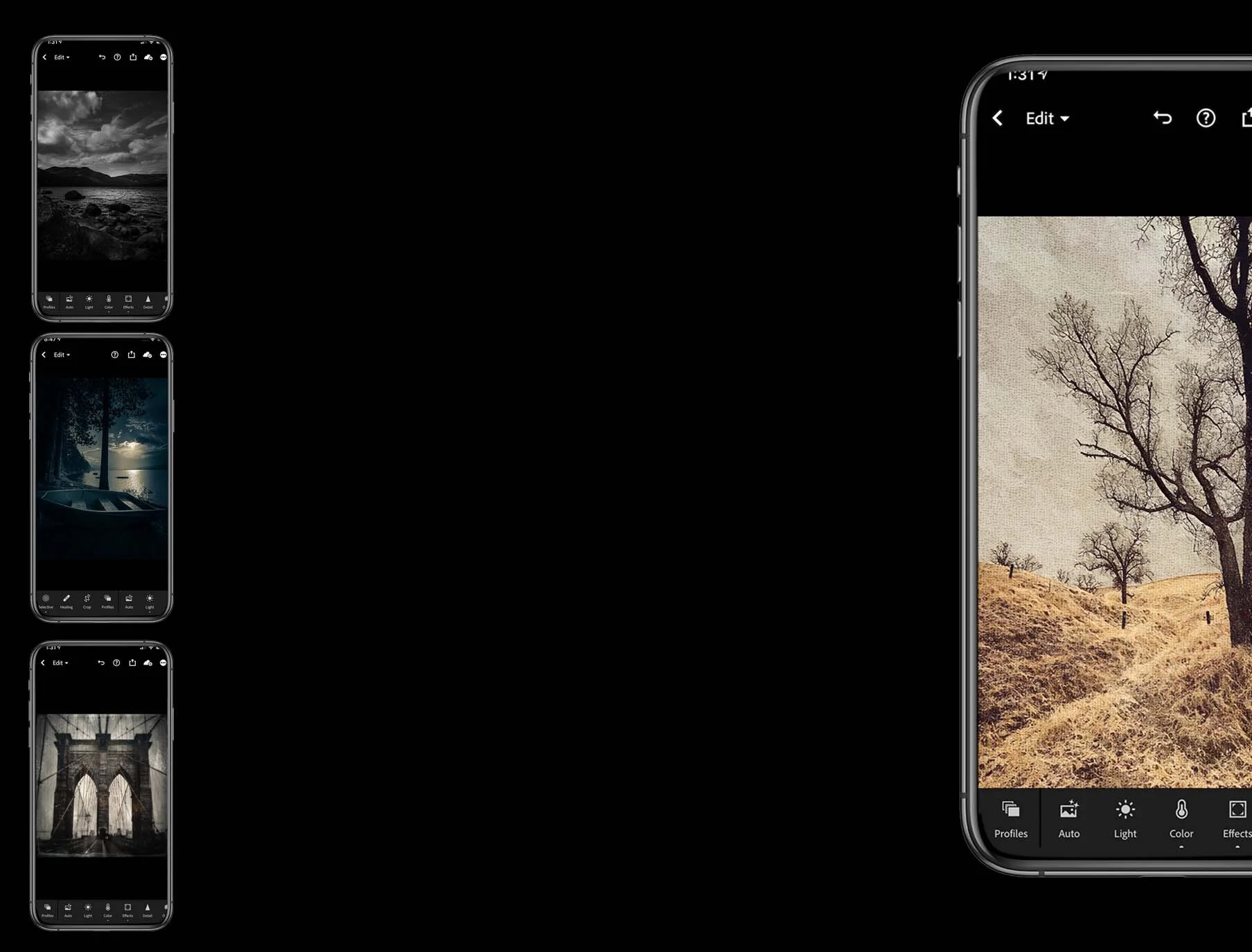 HomePage1.jpg