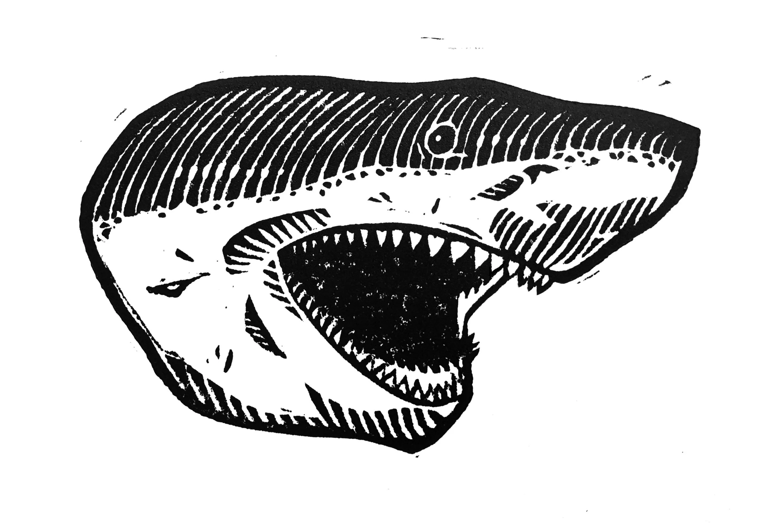 Untitled (Shark) . Linocut. 2018. 4x6”