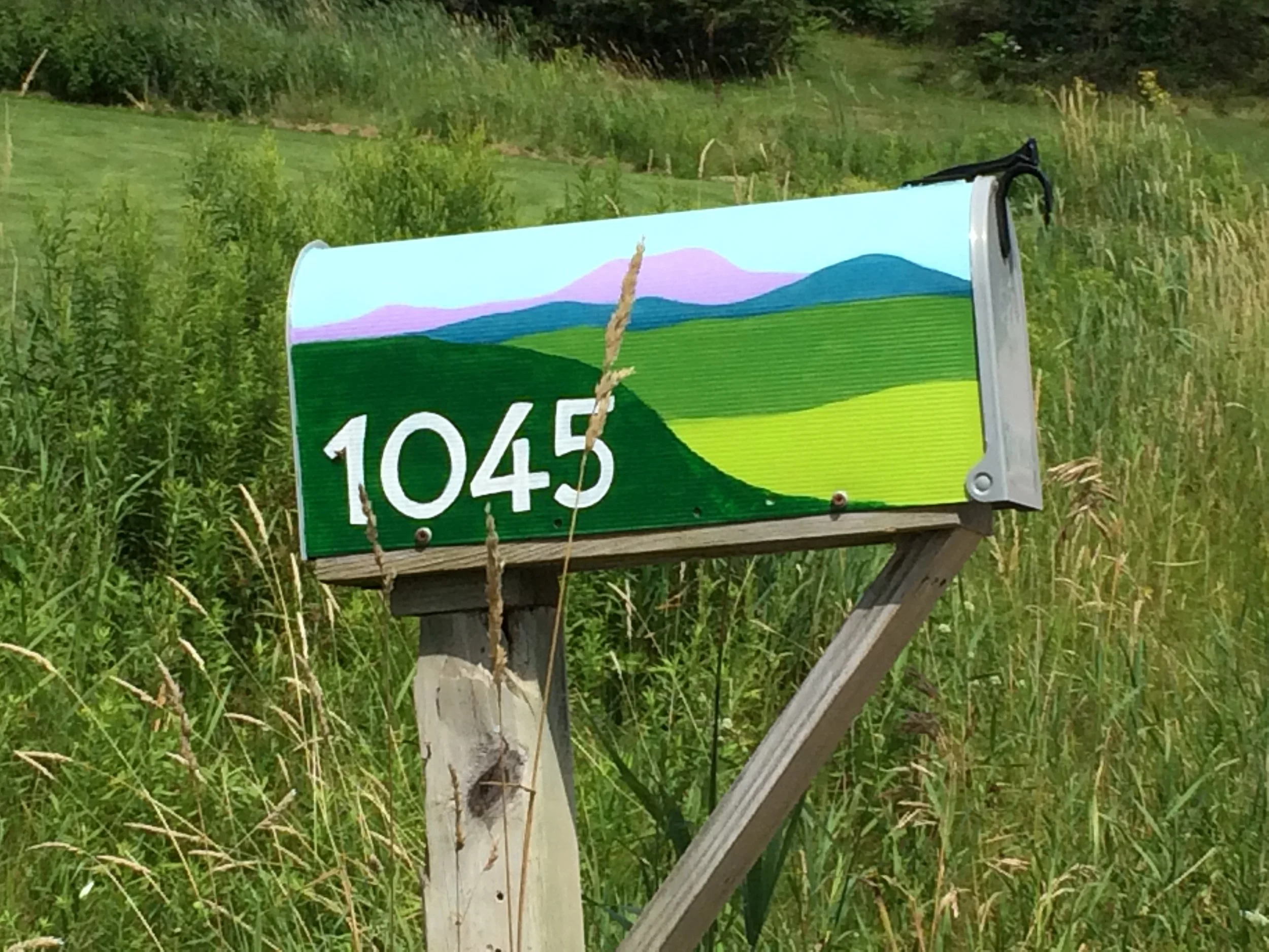 Hand Painted "Vermonty" Mailbox