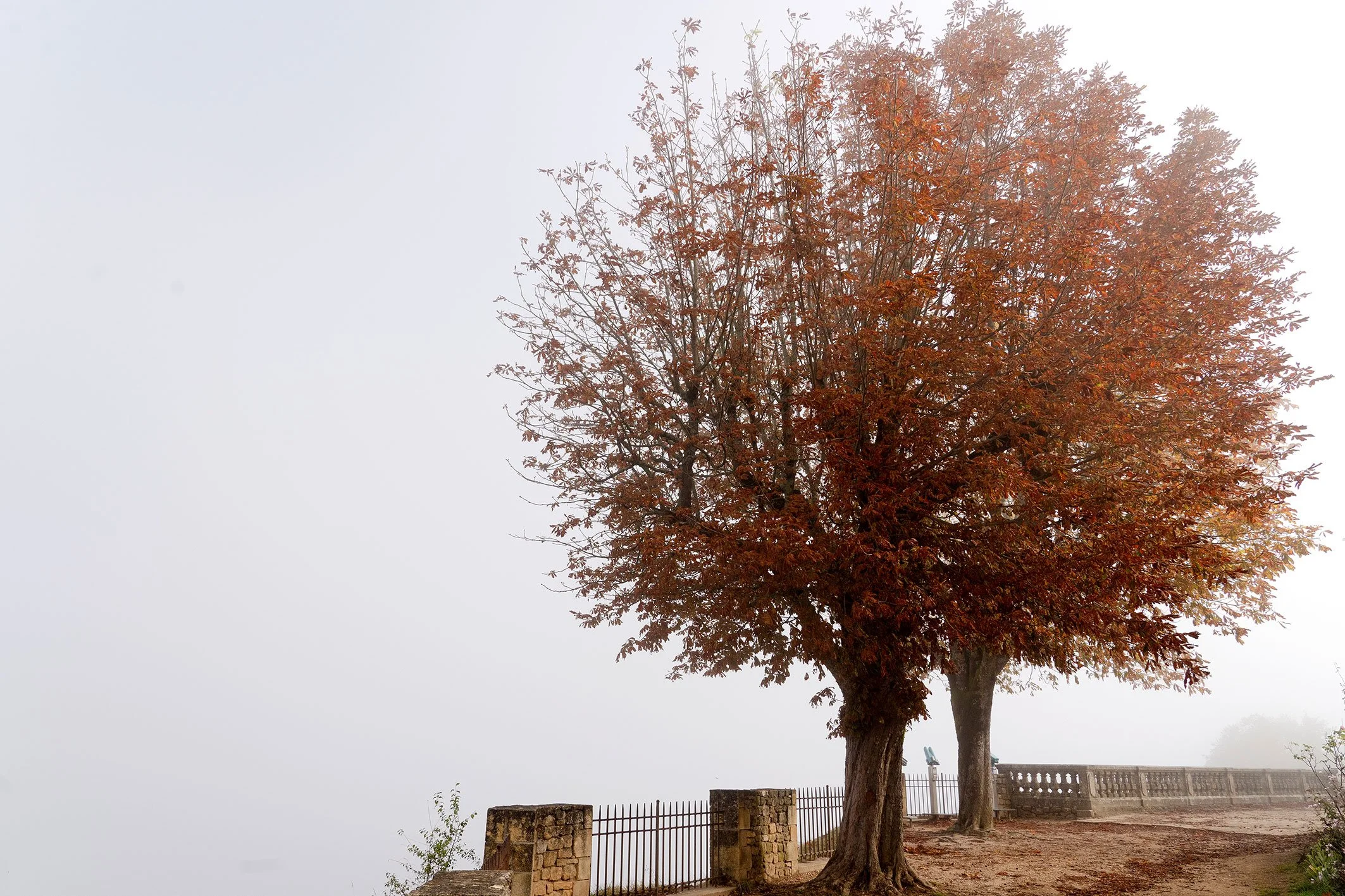 Automne
