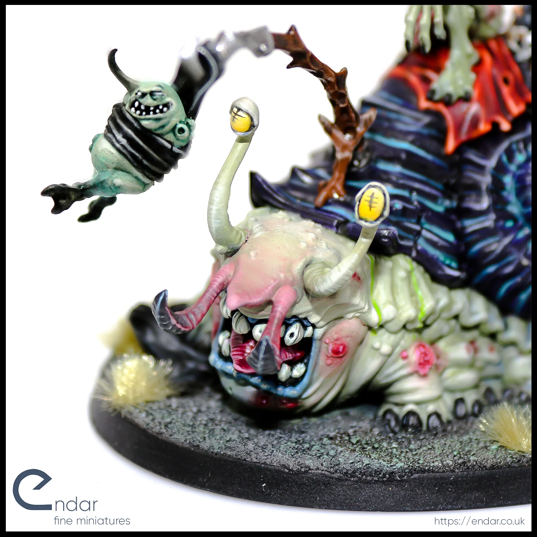 Horticulus detail face.jpg