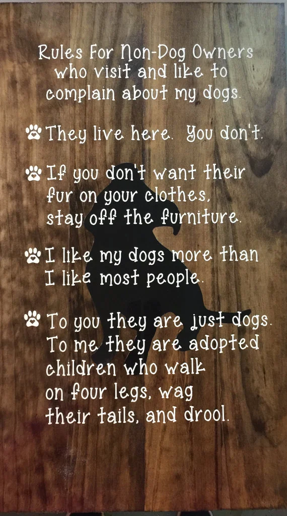 Rules for NonDog Owners Who Visit and Like to Complain About My Dogs