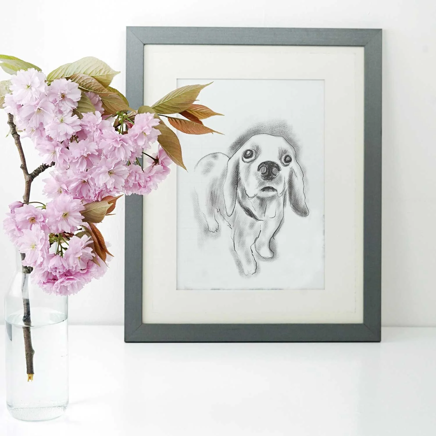 Dog Illustration