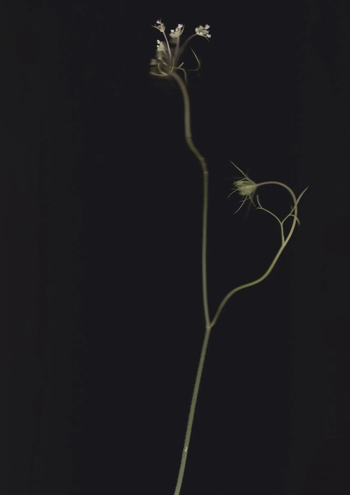 12_2000.jpg