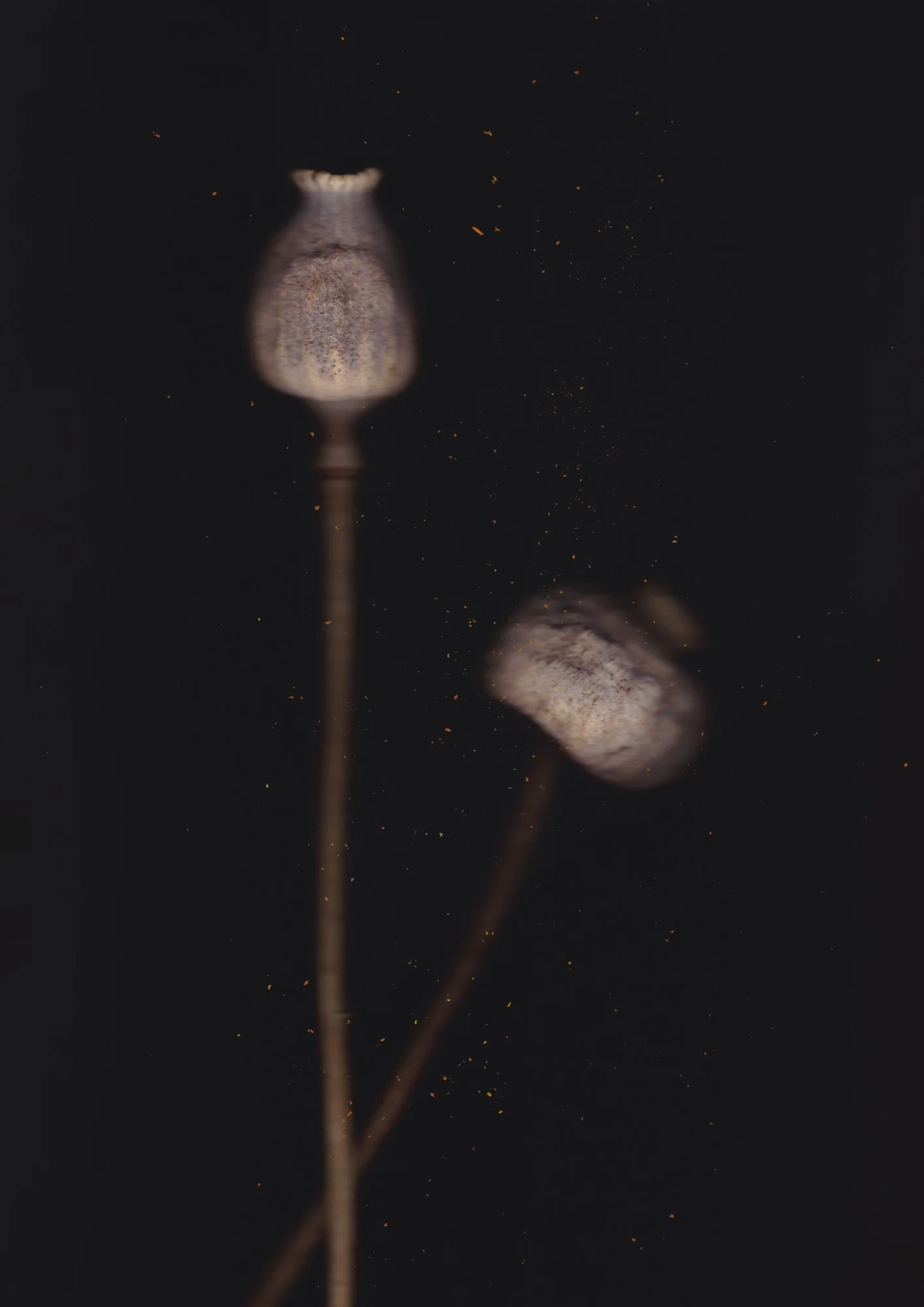 15_2000.jpg