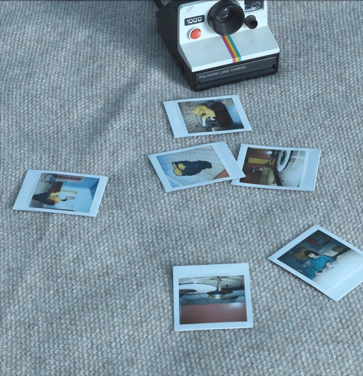 23.jpg