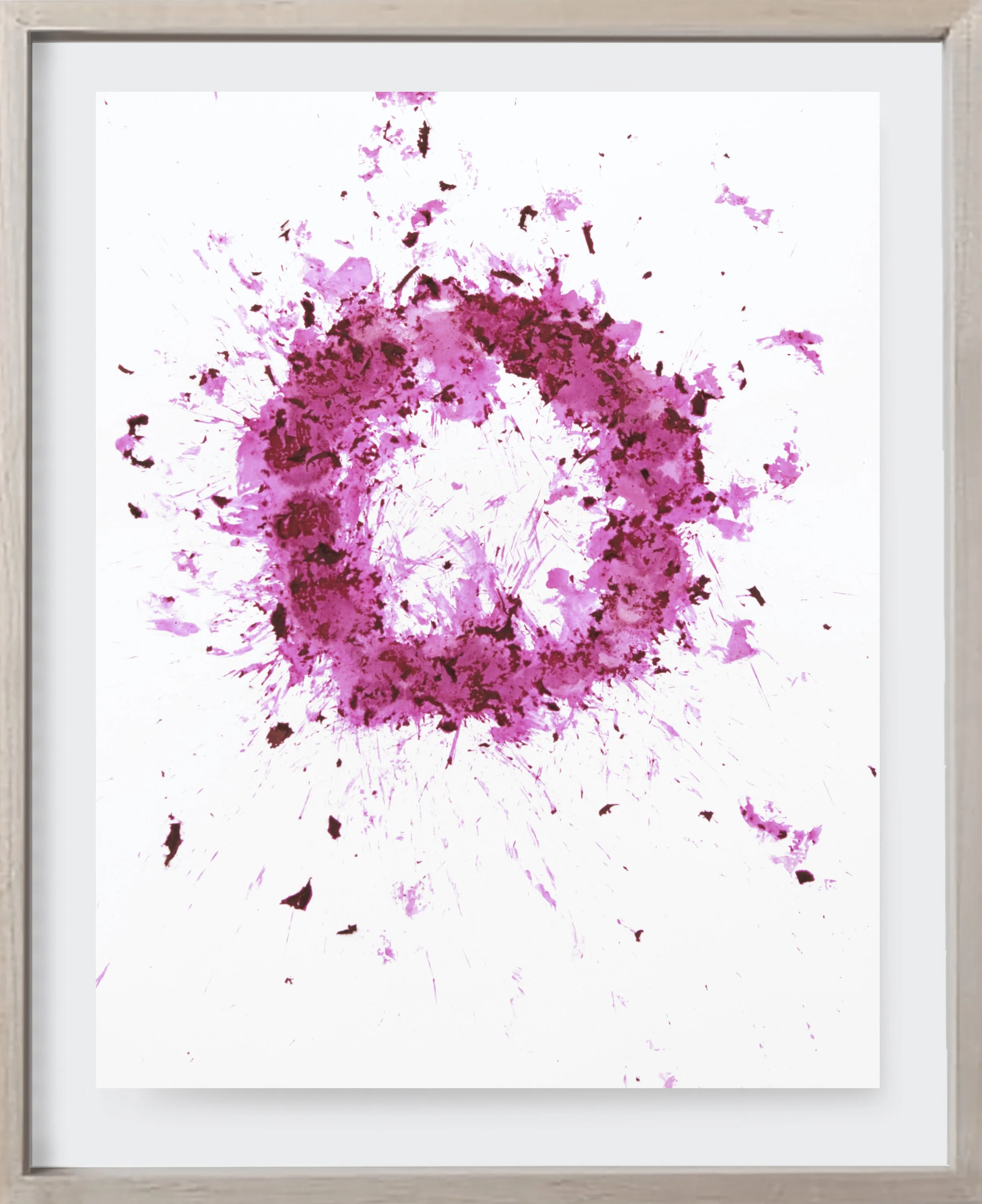  Beet#186, 2026  
Crushed beets on archival paper. (19 x 24 )   Unframed    