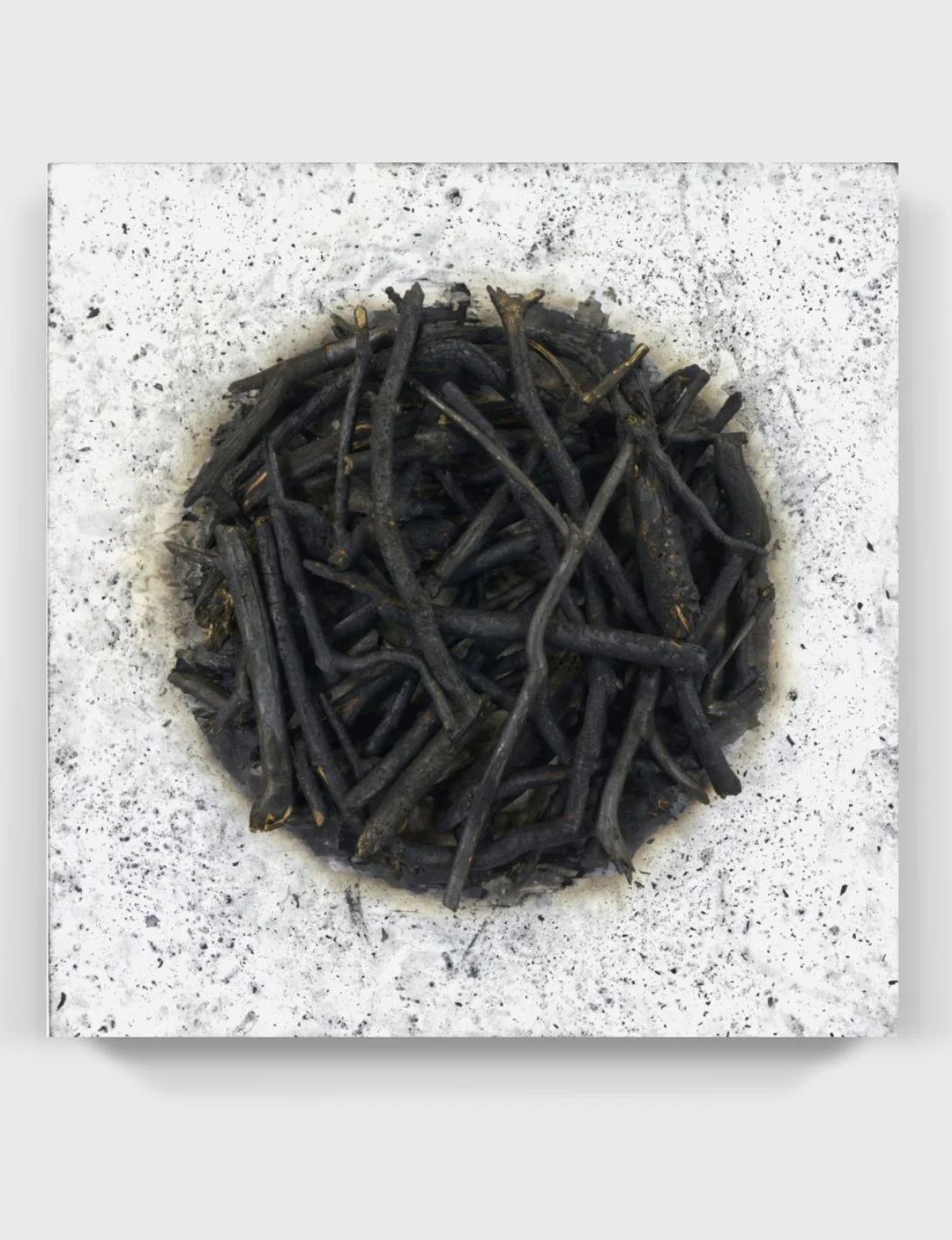   Burnt#91, 2024   
Burnt branches on a painted wooden panel.
 (23.75 x 24 x 4 in.)   