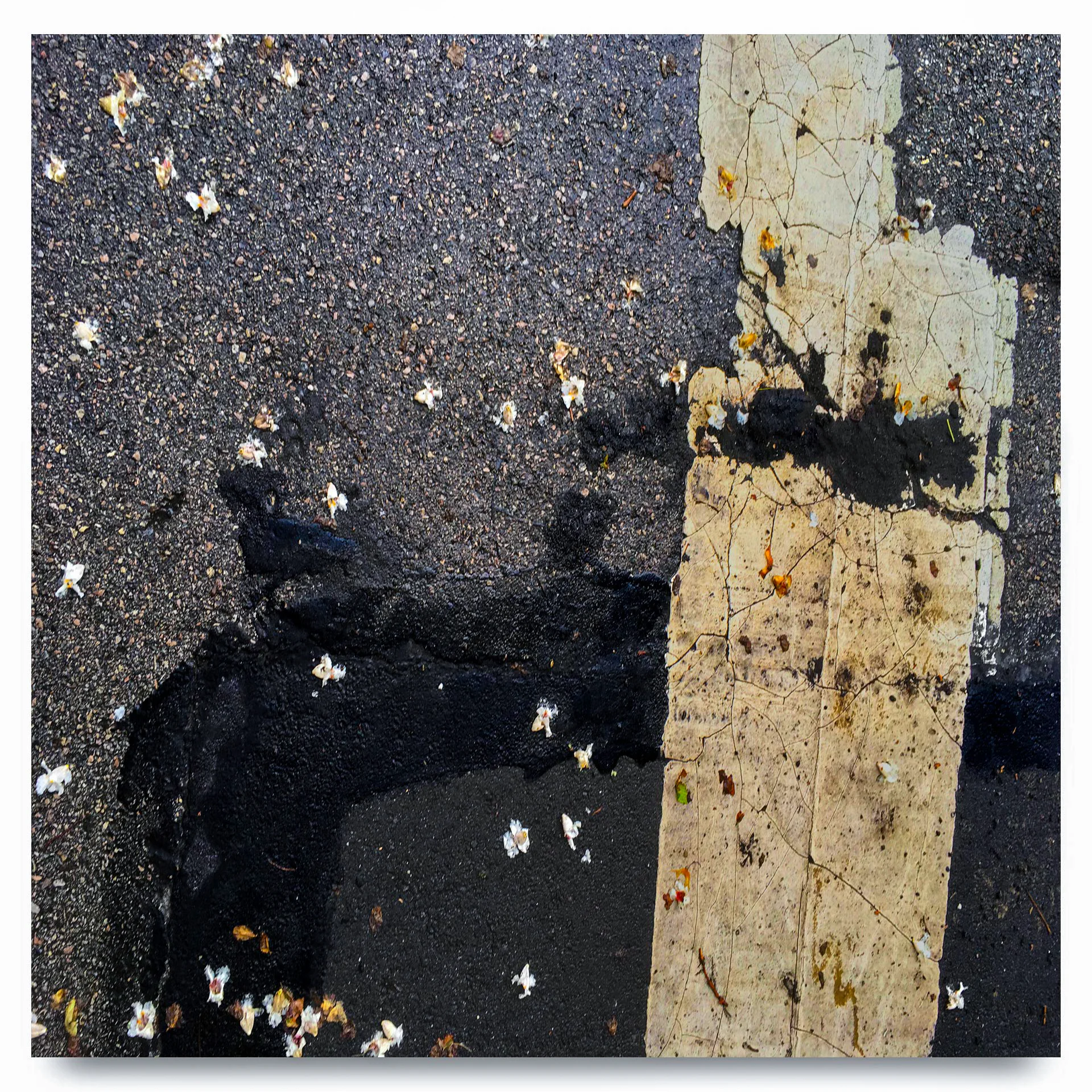 Road Rage#99, 2017