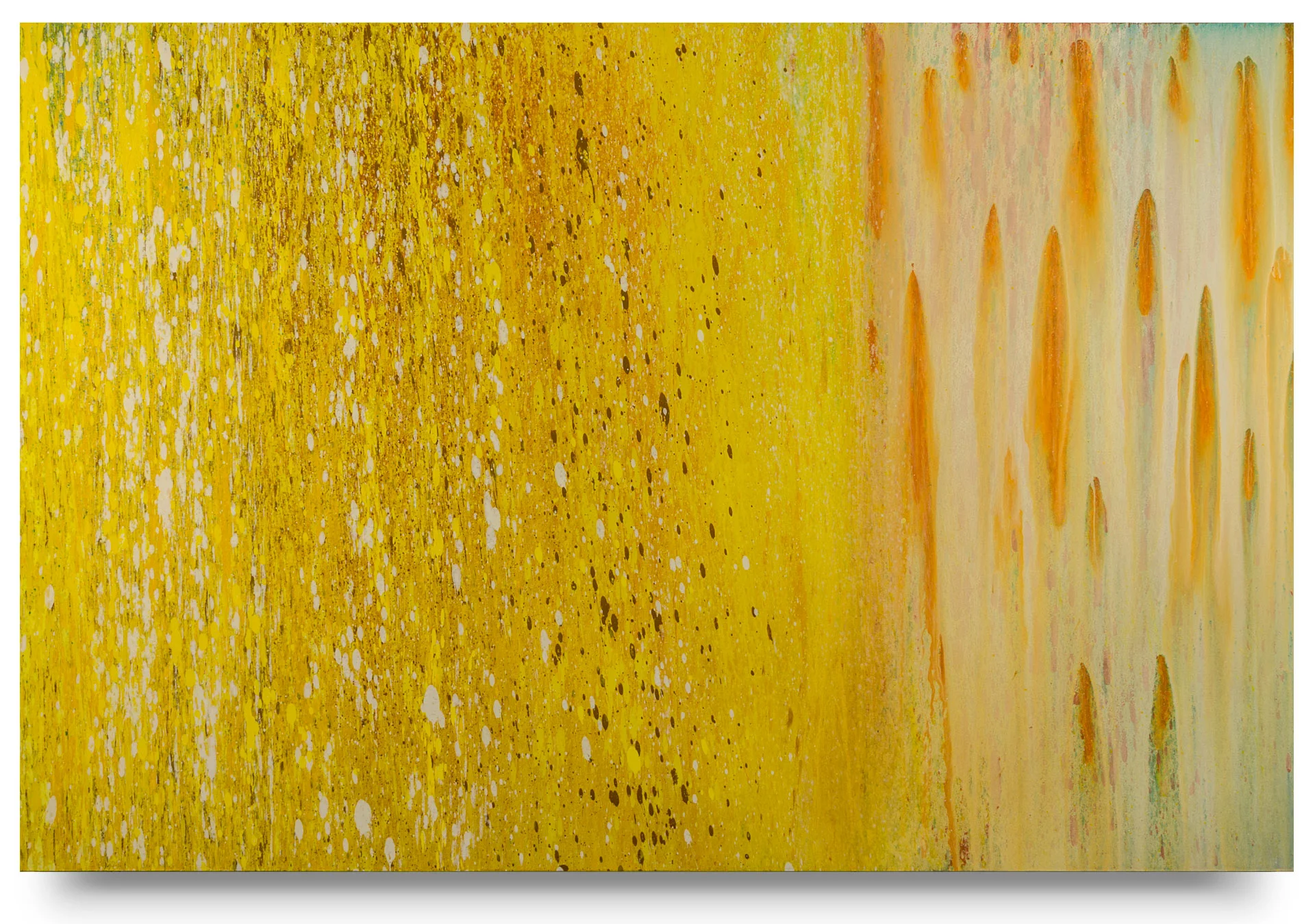 Sweet Corn, 2018
