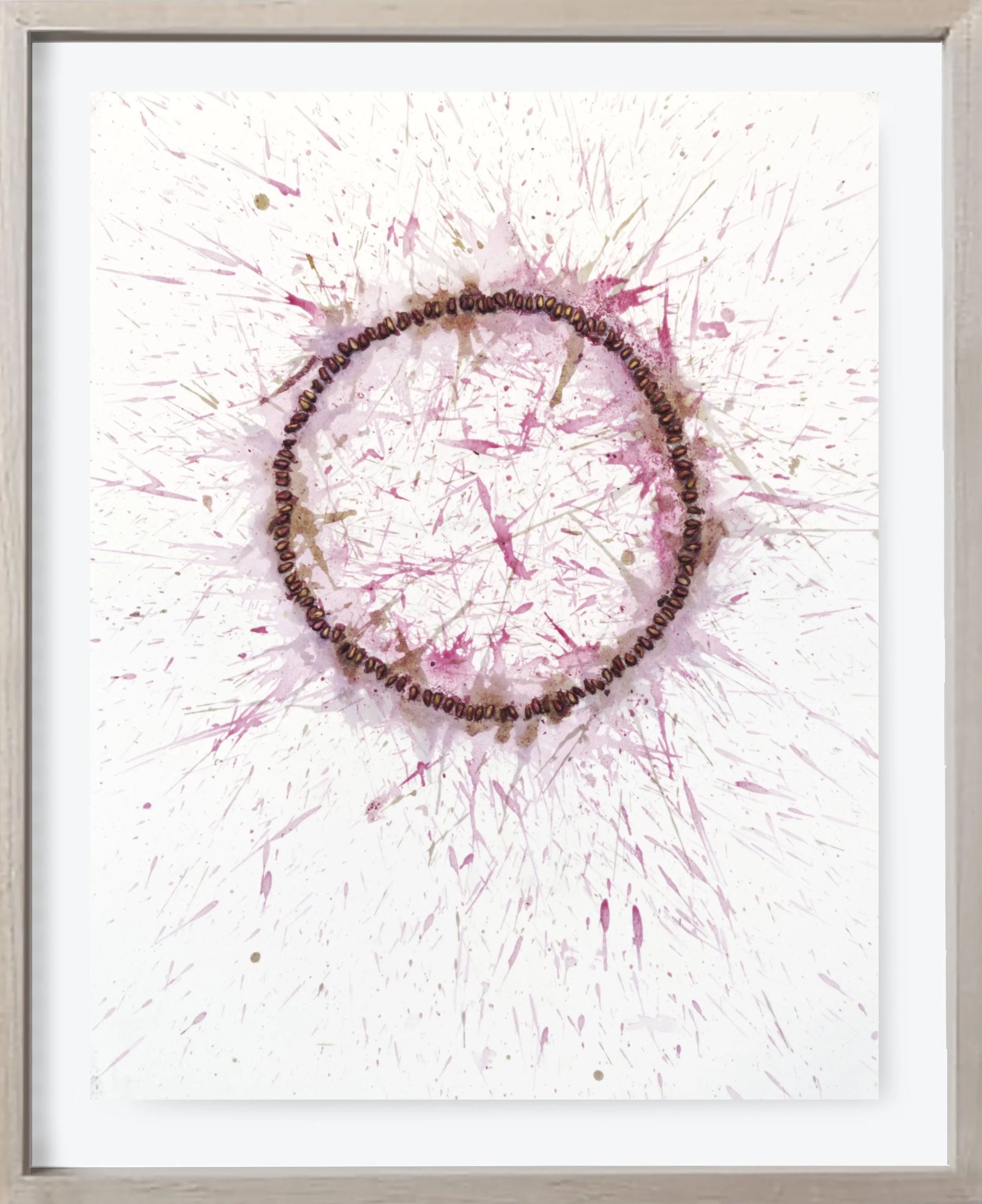 Pomegranate#180, 2025