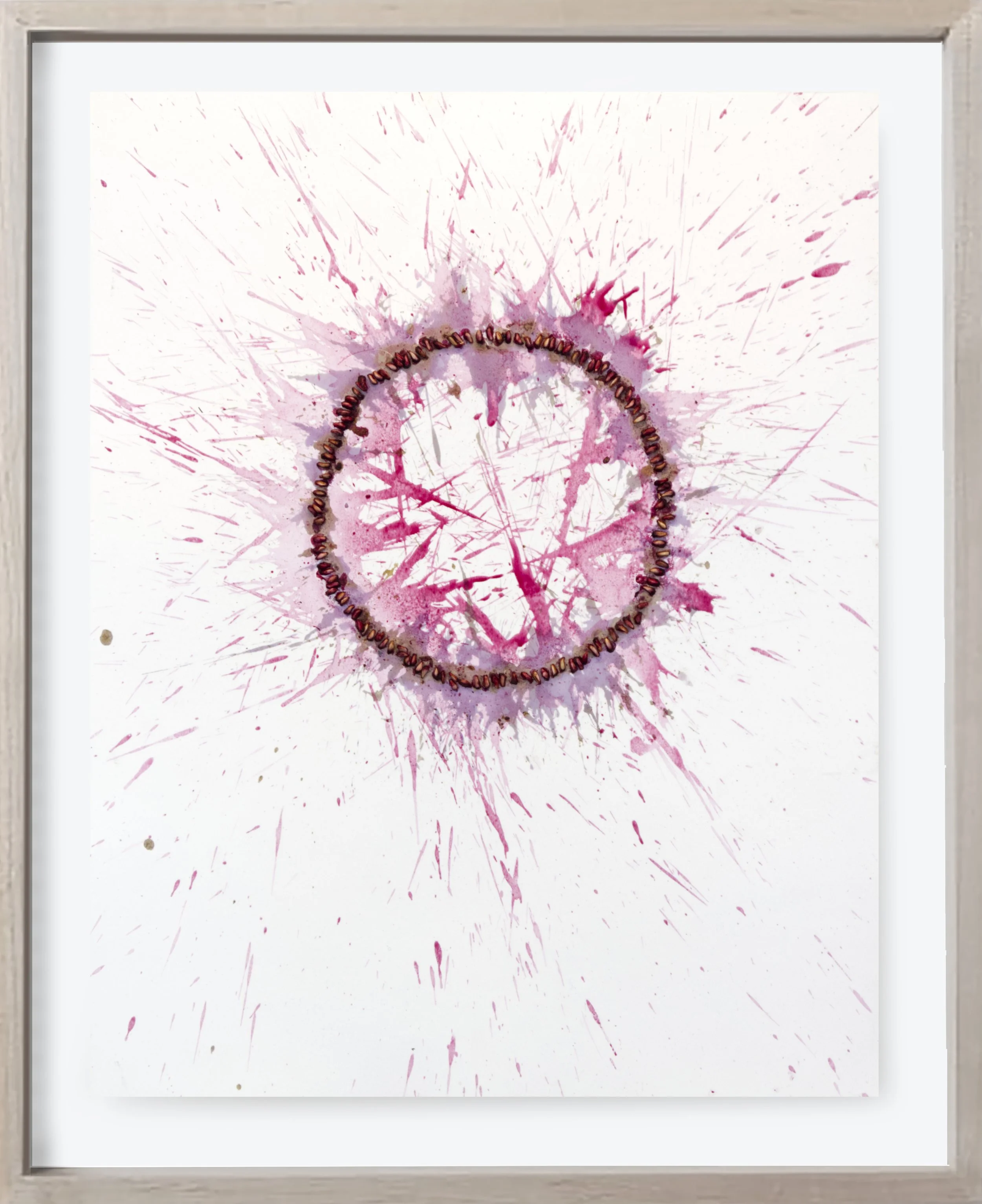 Pomegranate#179, 2025