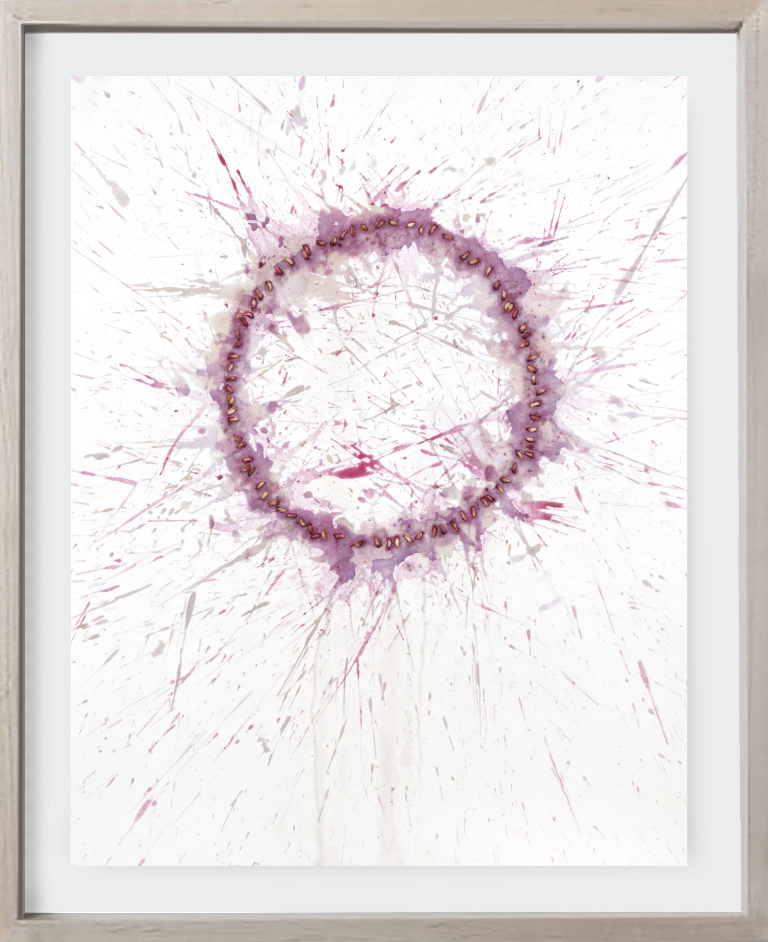 Pomegranate#176, 2025