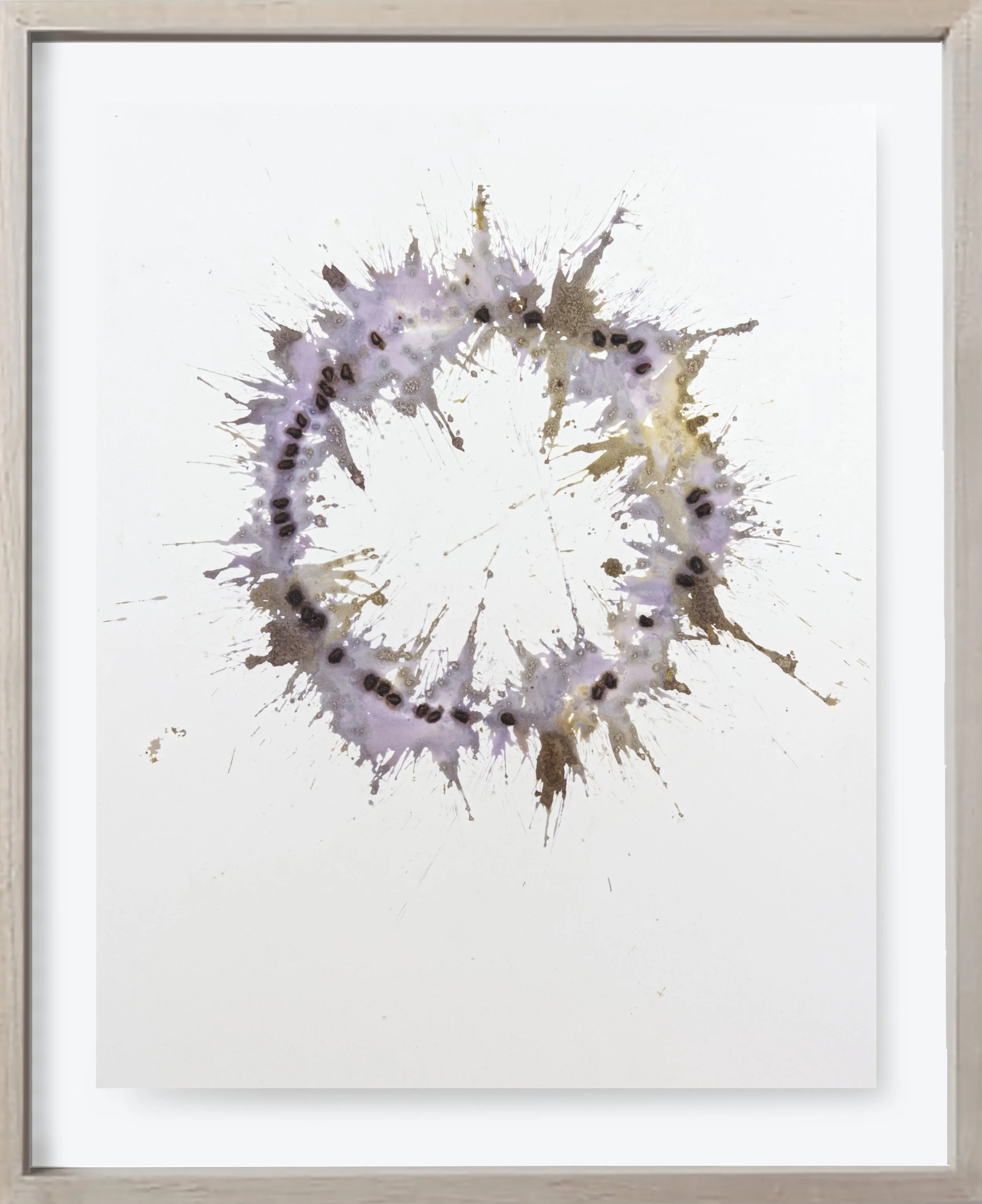 Pomegranate#157, 2024 (Copy)