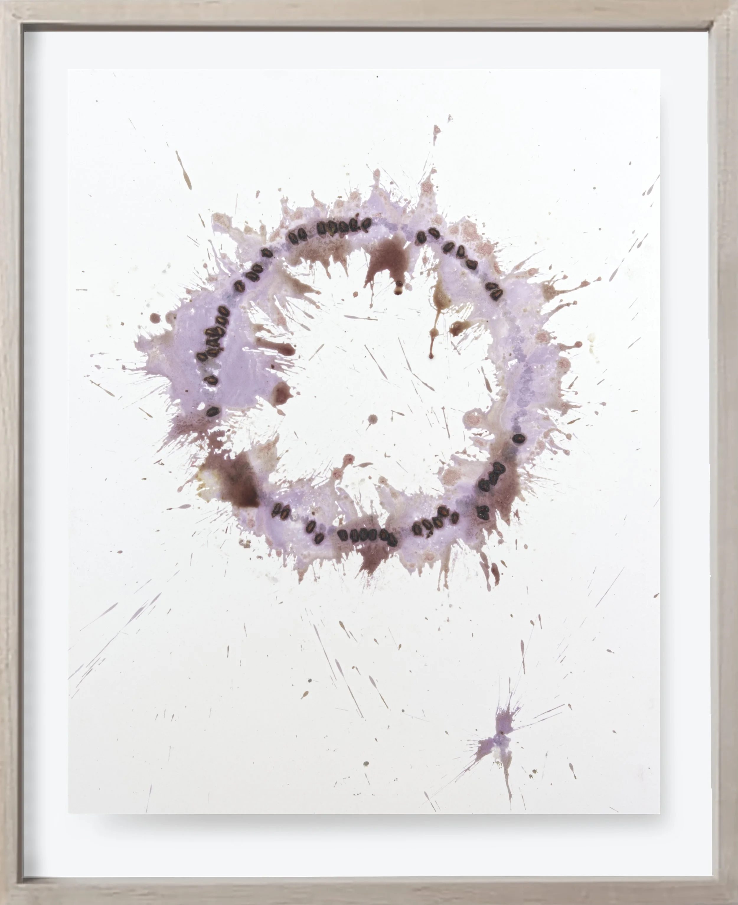  Pomegranate#158, 2024 (Copy)