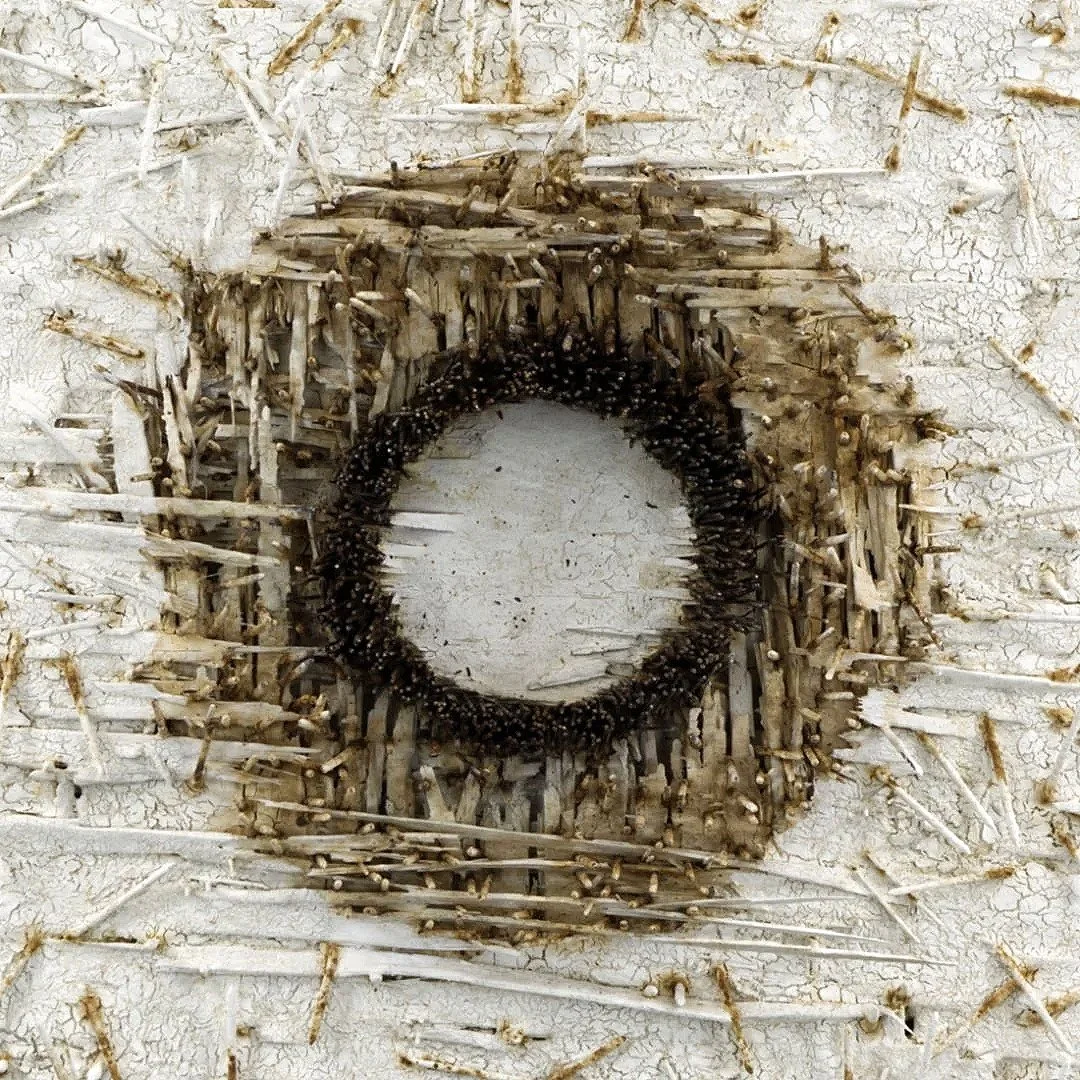  Oxidized#132, 2026  
Rusted nails through a painted wooden panel.  (23 x 32 x 5 in.)   