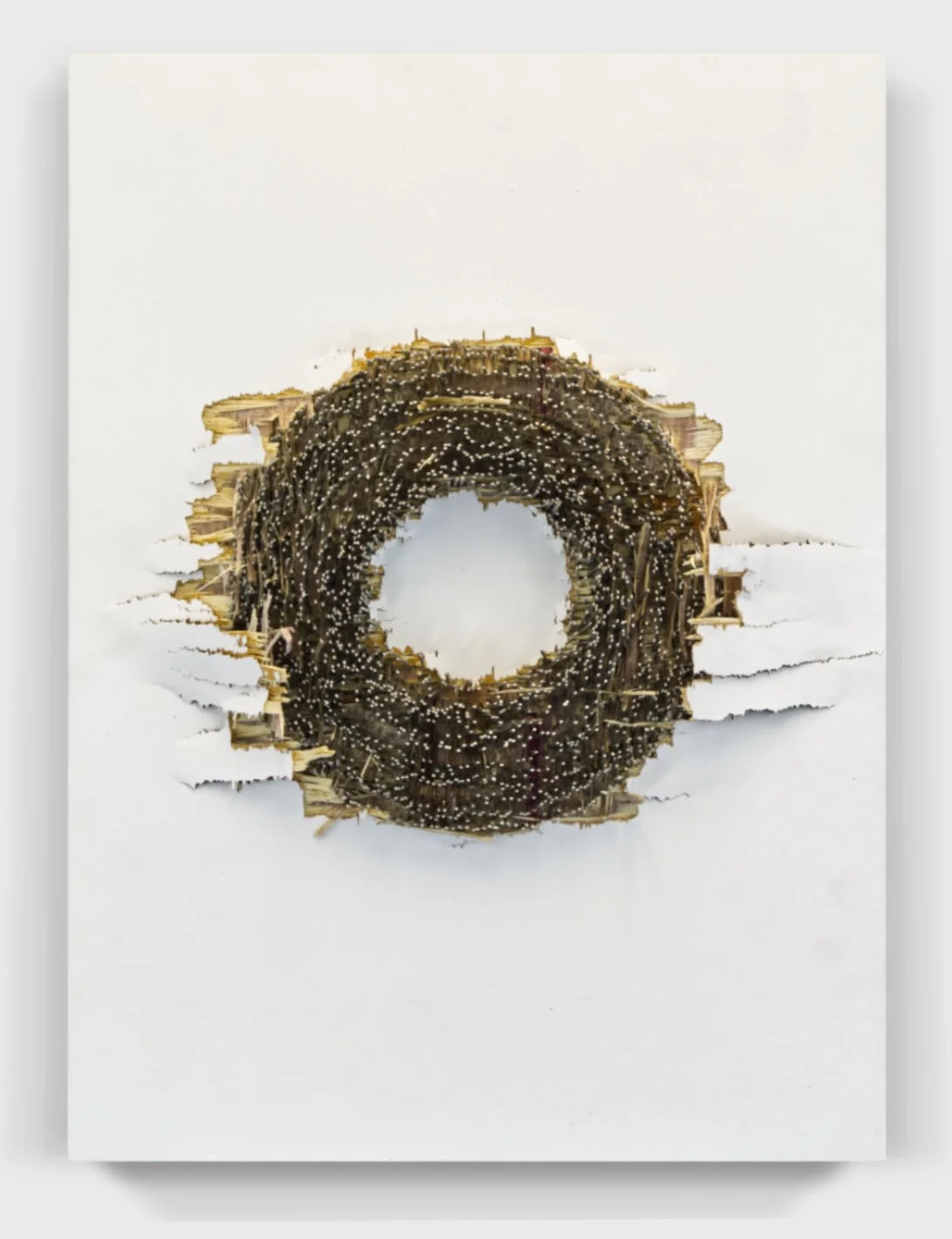  Oxidized#114, 2024  
Nails through a painted wooden panel.  (16 x 22 x 3.75 in.)   